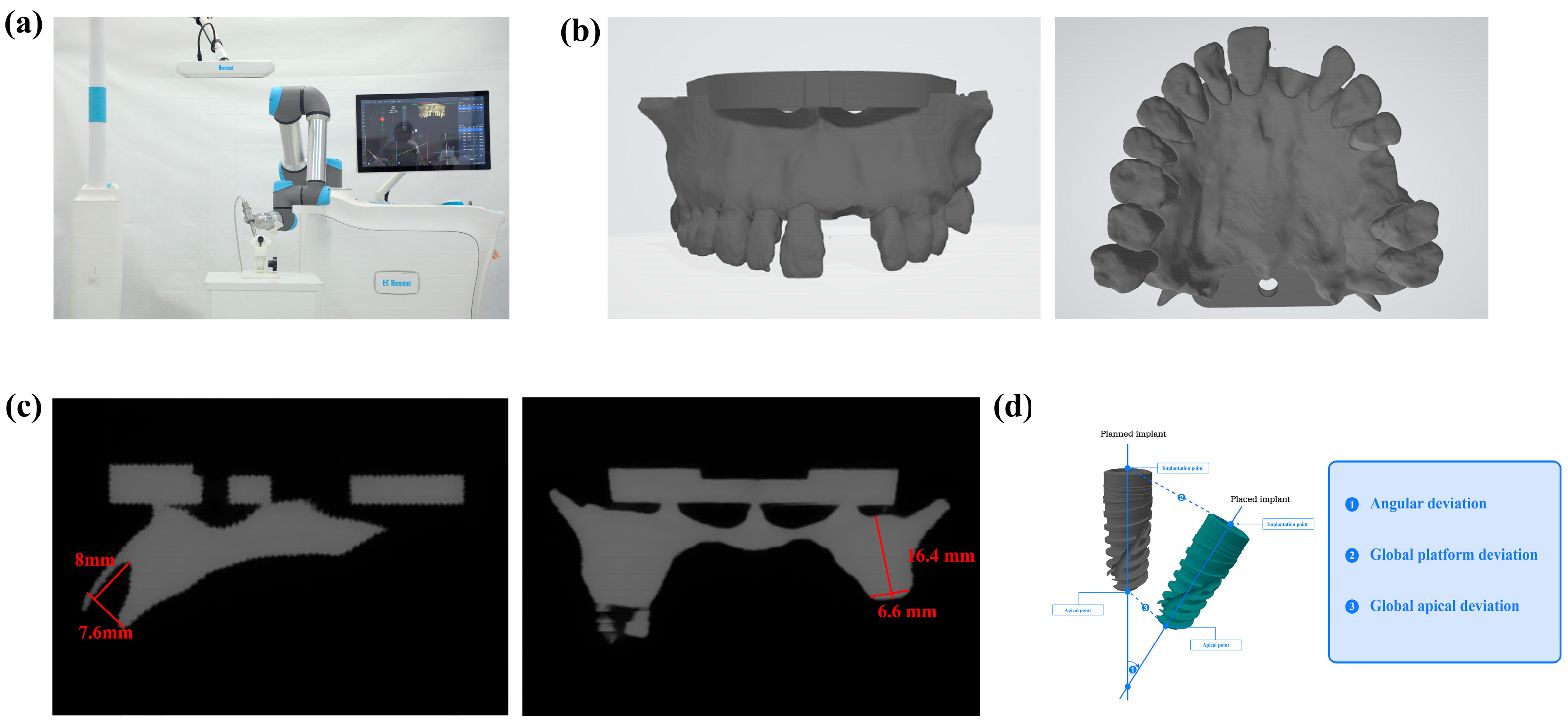 Dentistry 13 00592 g001