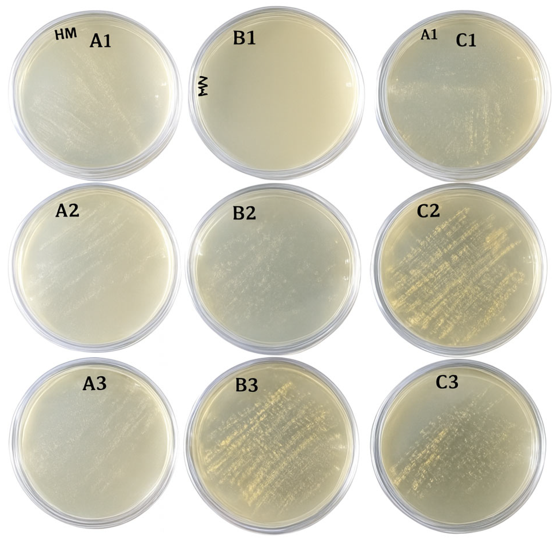 Dentistry 13 00596 g002 Dentistry 13 00596 g002