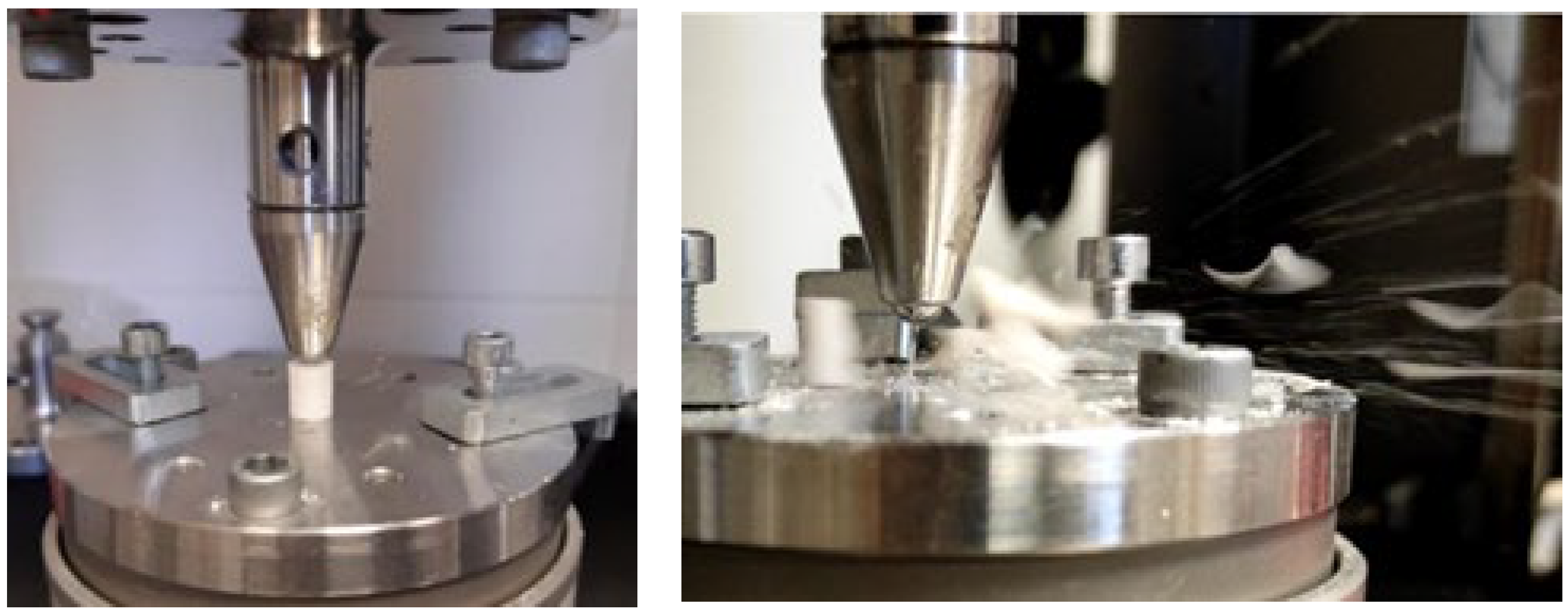 Dentistry 13 00601 g002