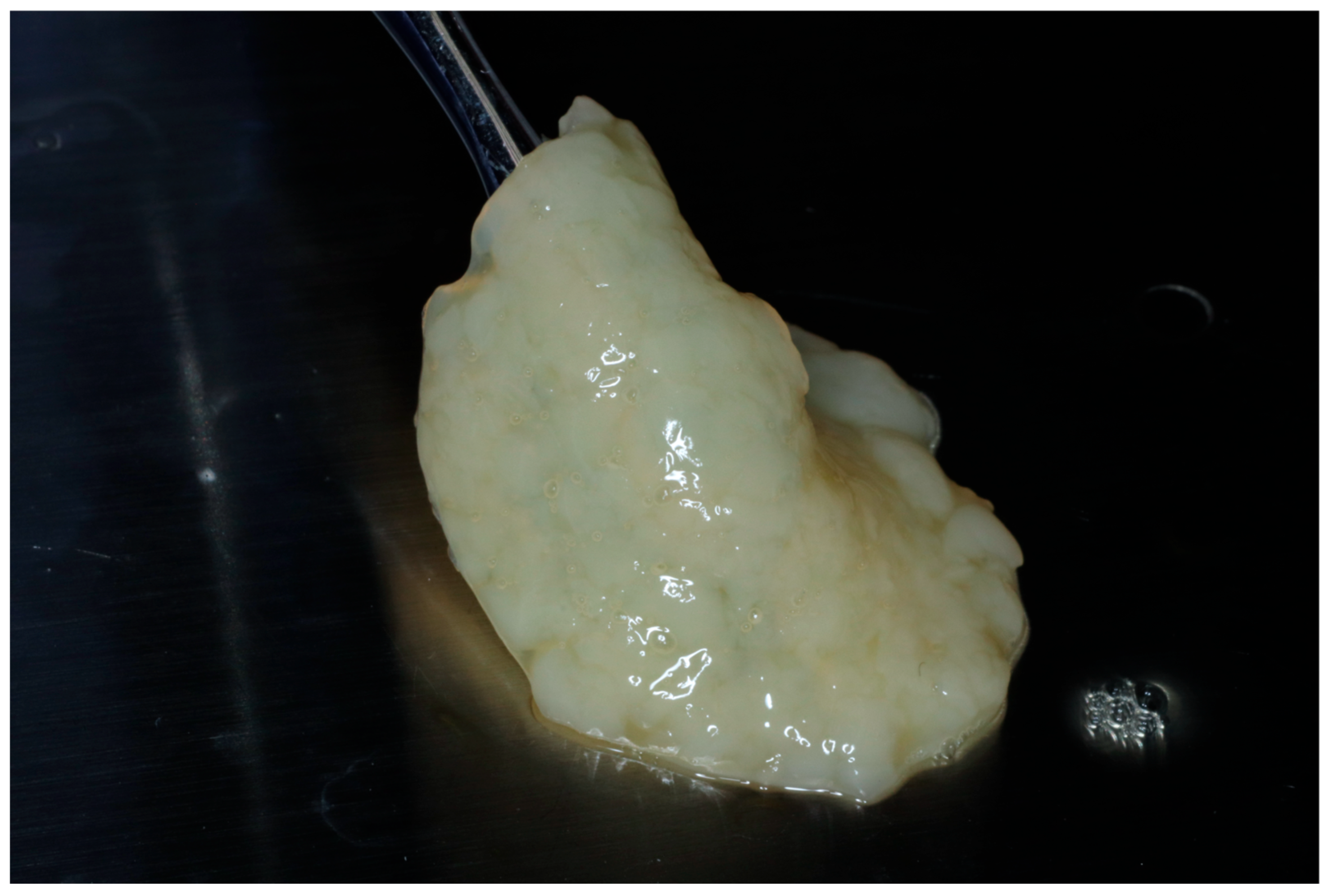 Dentistry 13 00604 g002