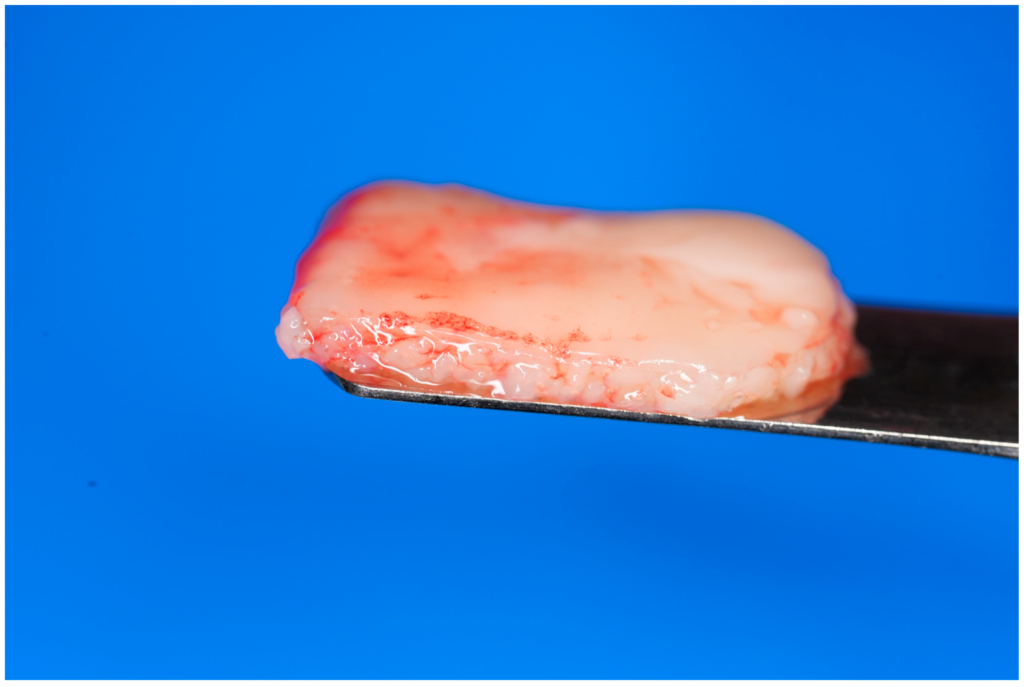 Dentistry 13 00604 g007