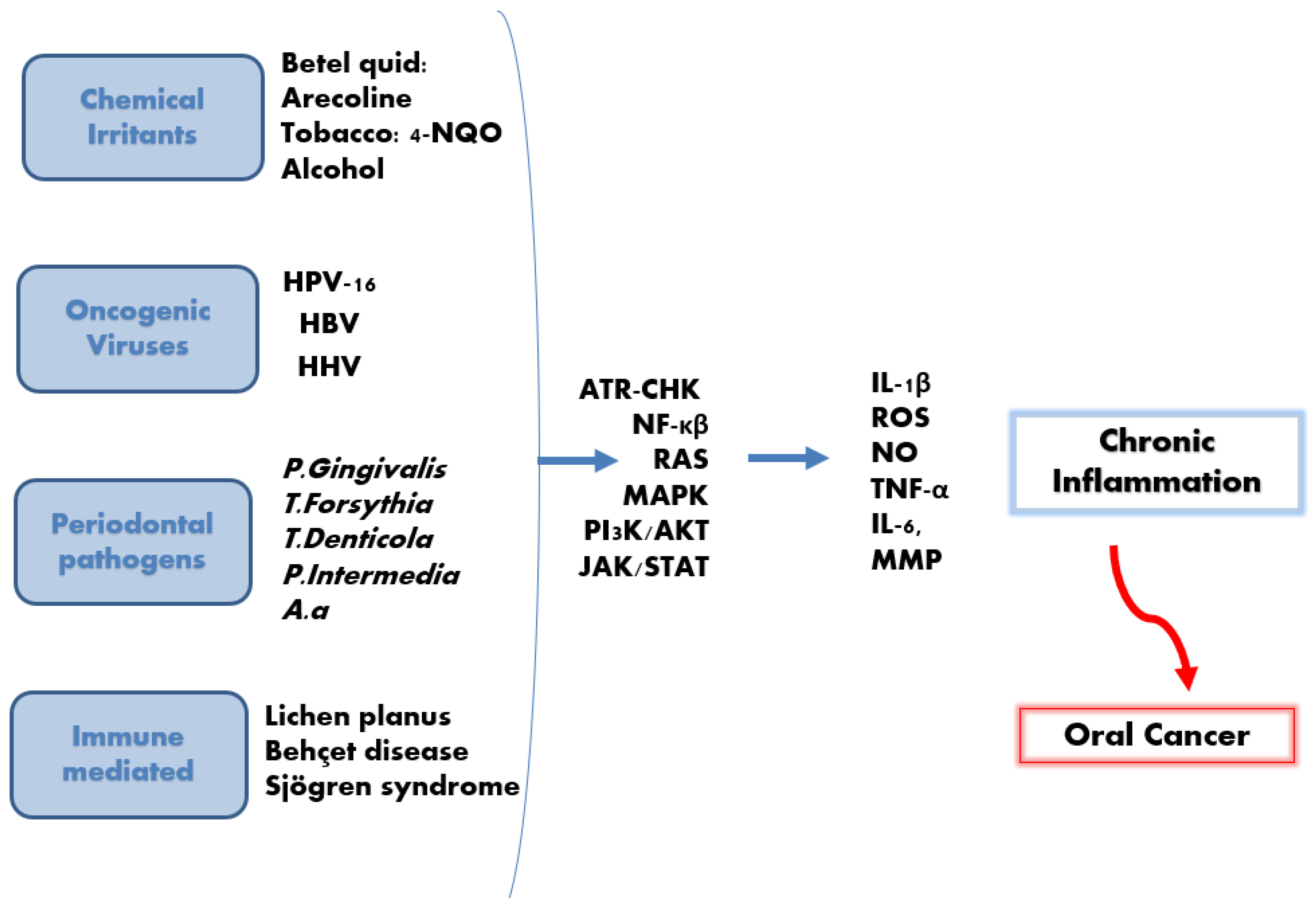Dentistry 13 00609 g004