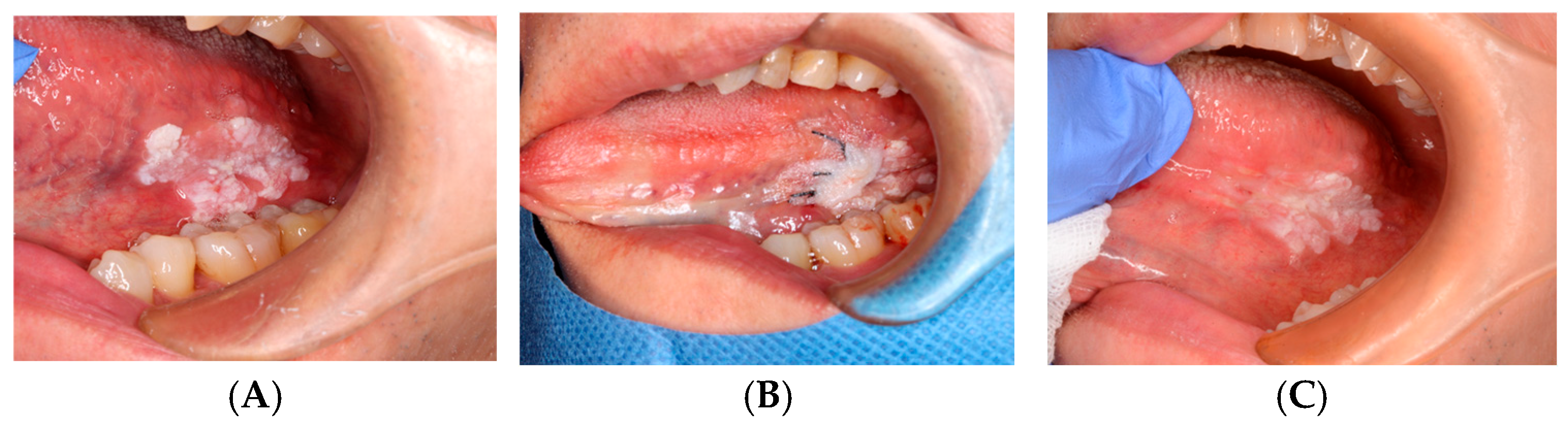 Dentistry 14 00073 g004