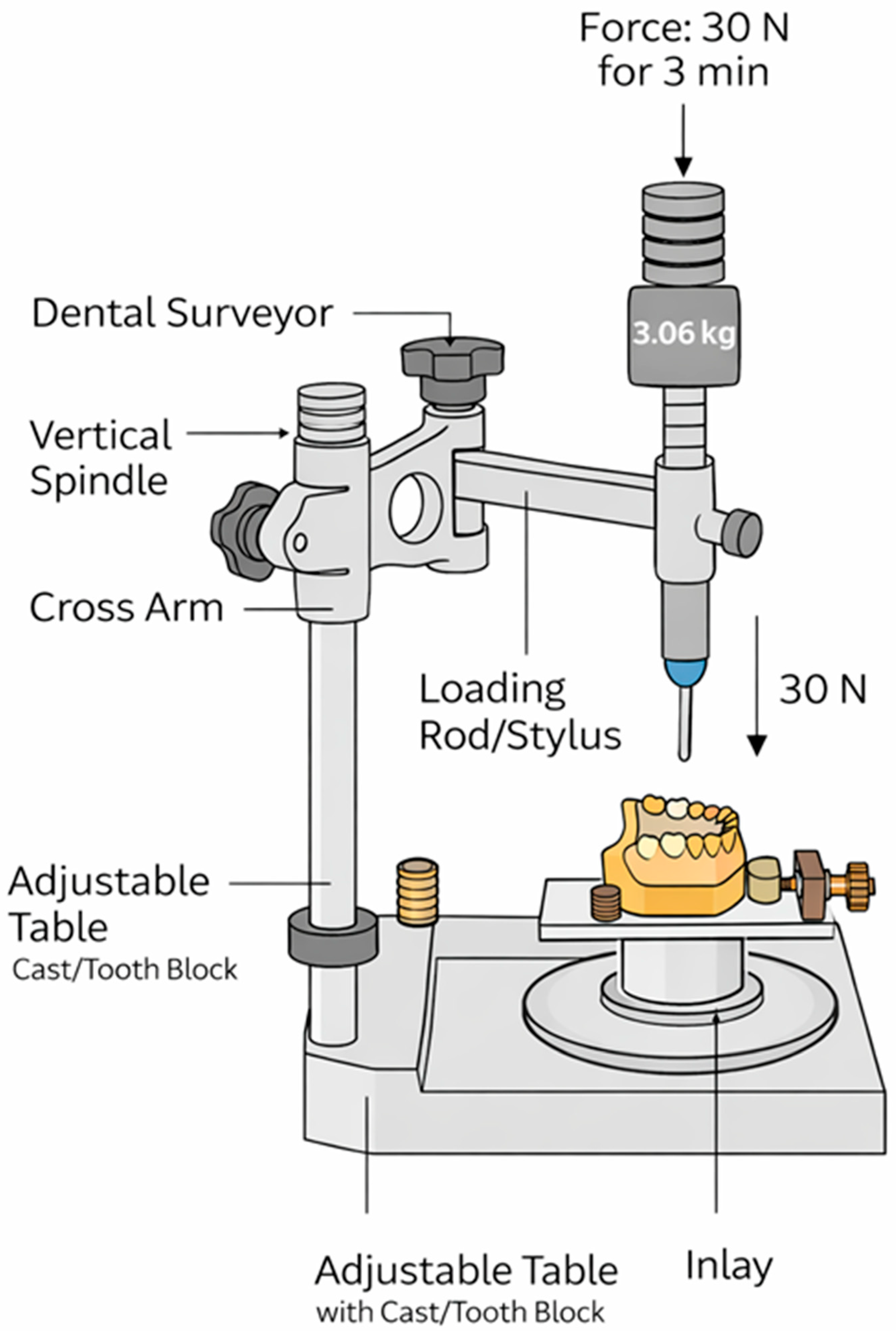 Dentistry 14 00098 g002