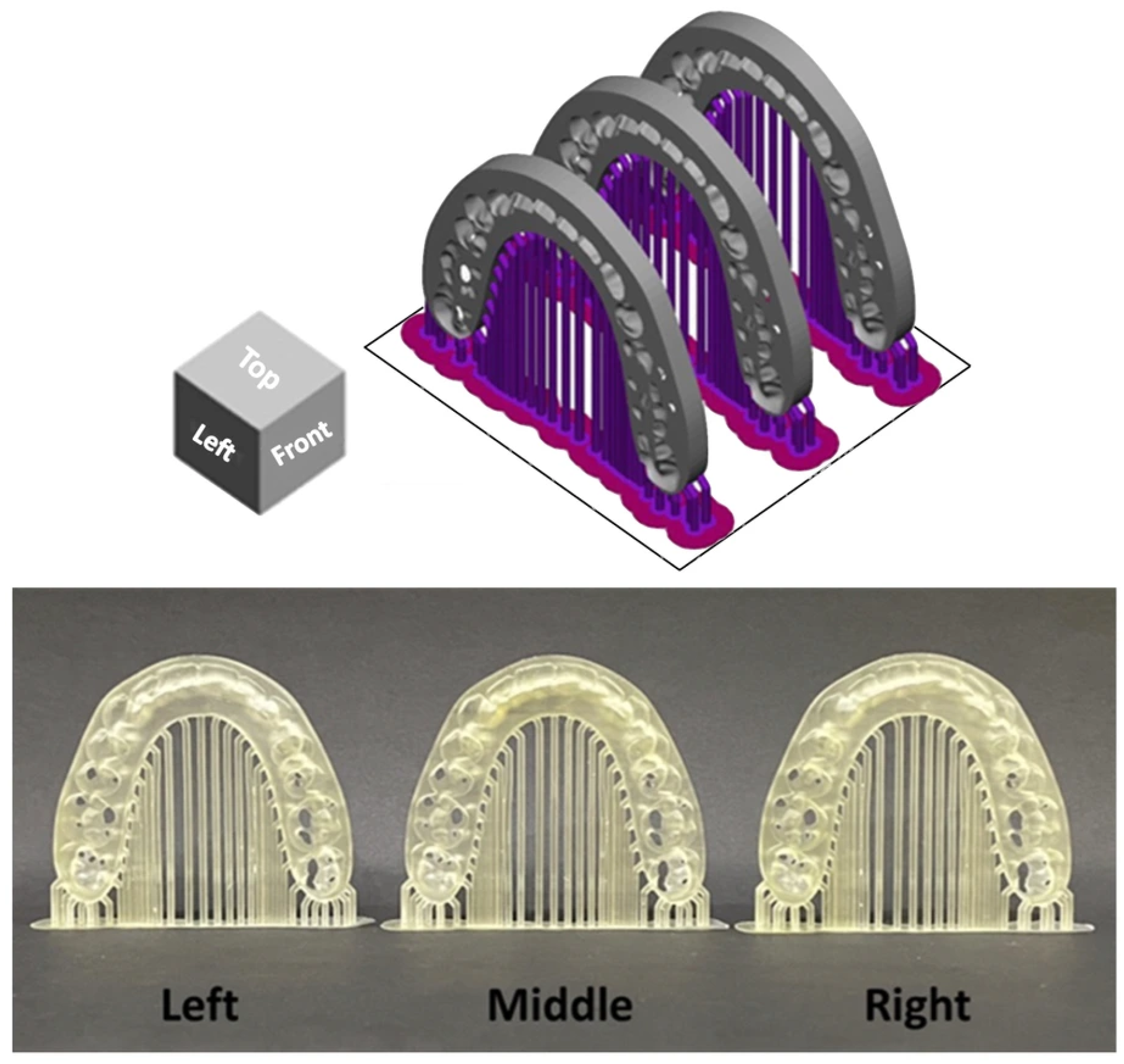 Dentistry 14 00145 g002