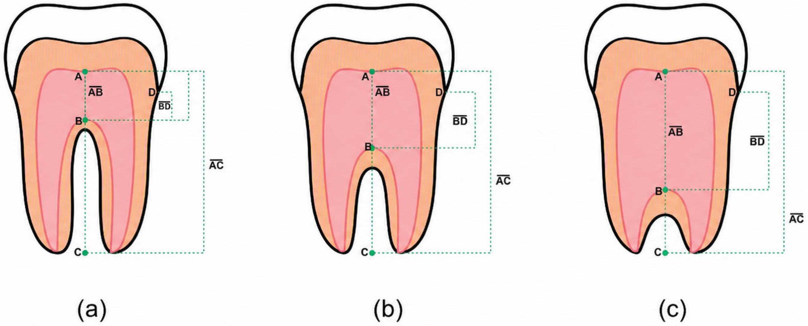 Dentistry 14 00357 g002