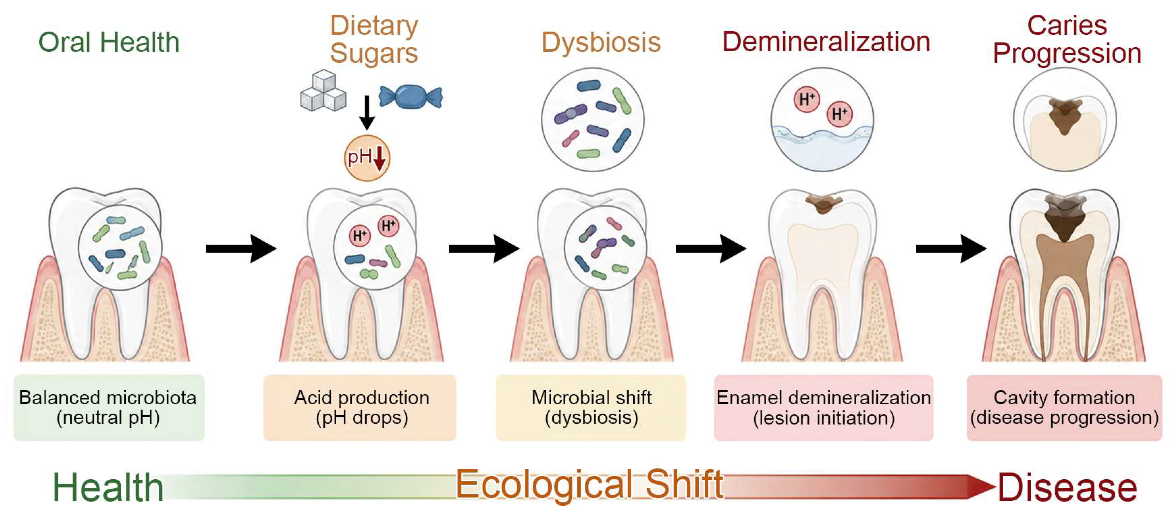 Dentistry 14 00477 g001 Dentistry 14 00477 g001