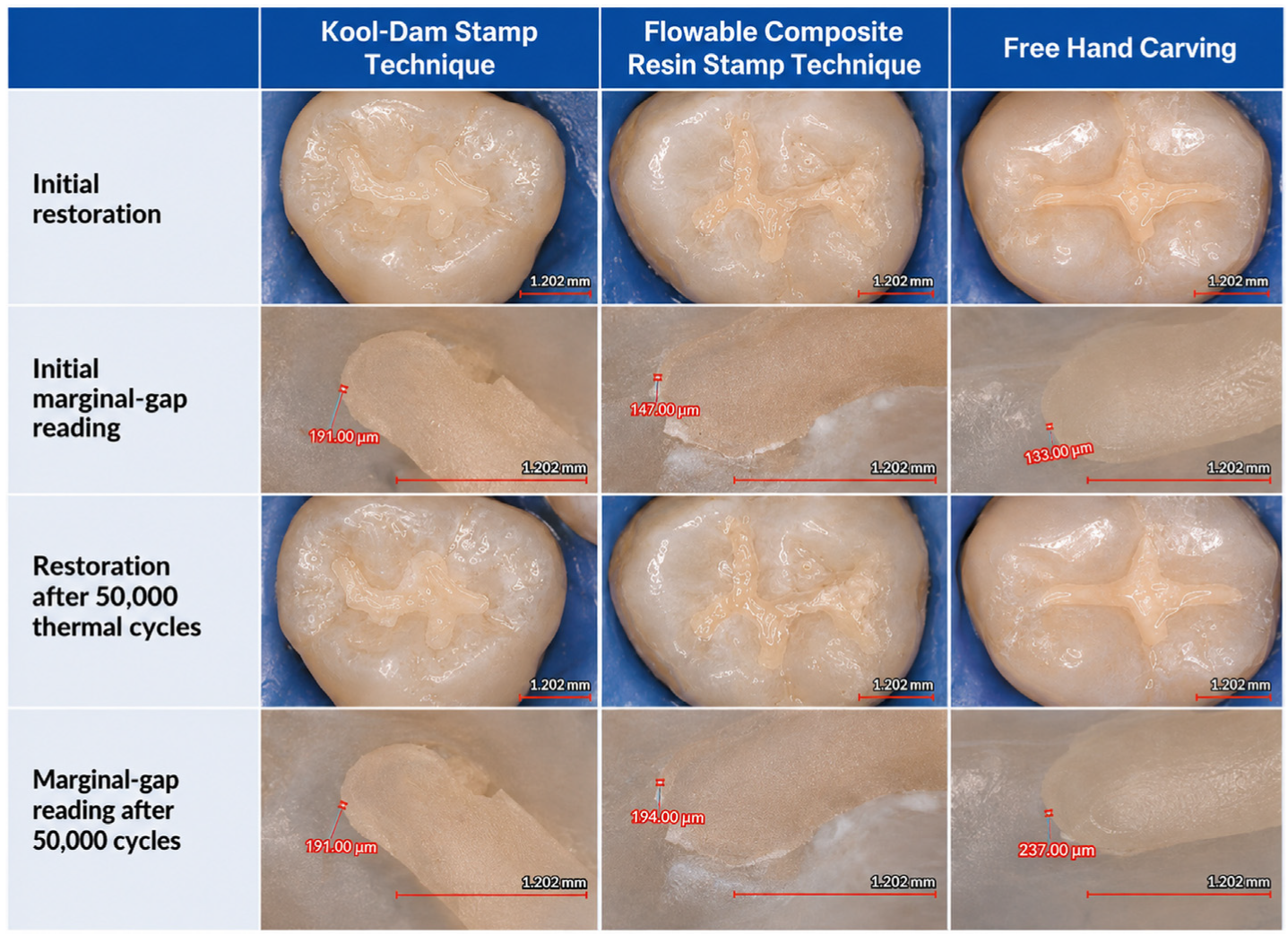 Dentistry 14 00554 g002 Dentistry 14 00554 g002