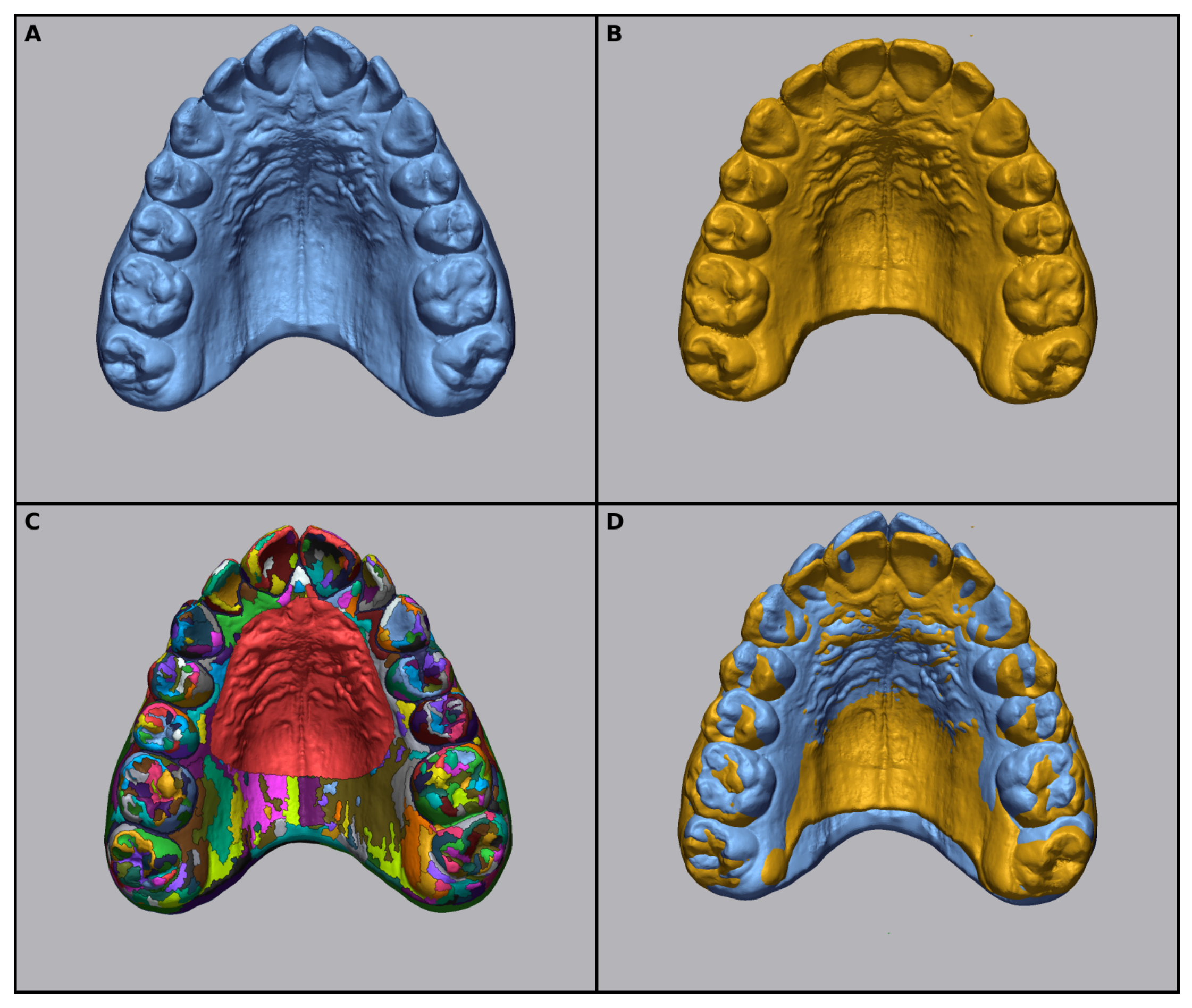 Dentistry 14 00601 g001