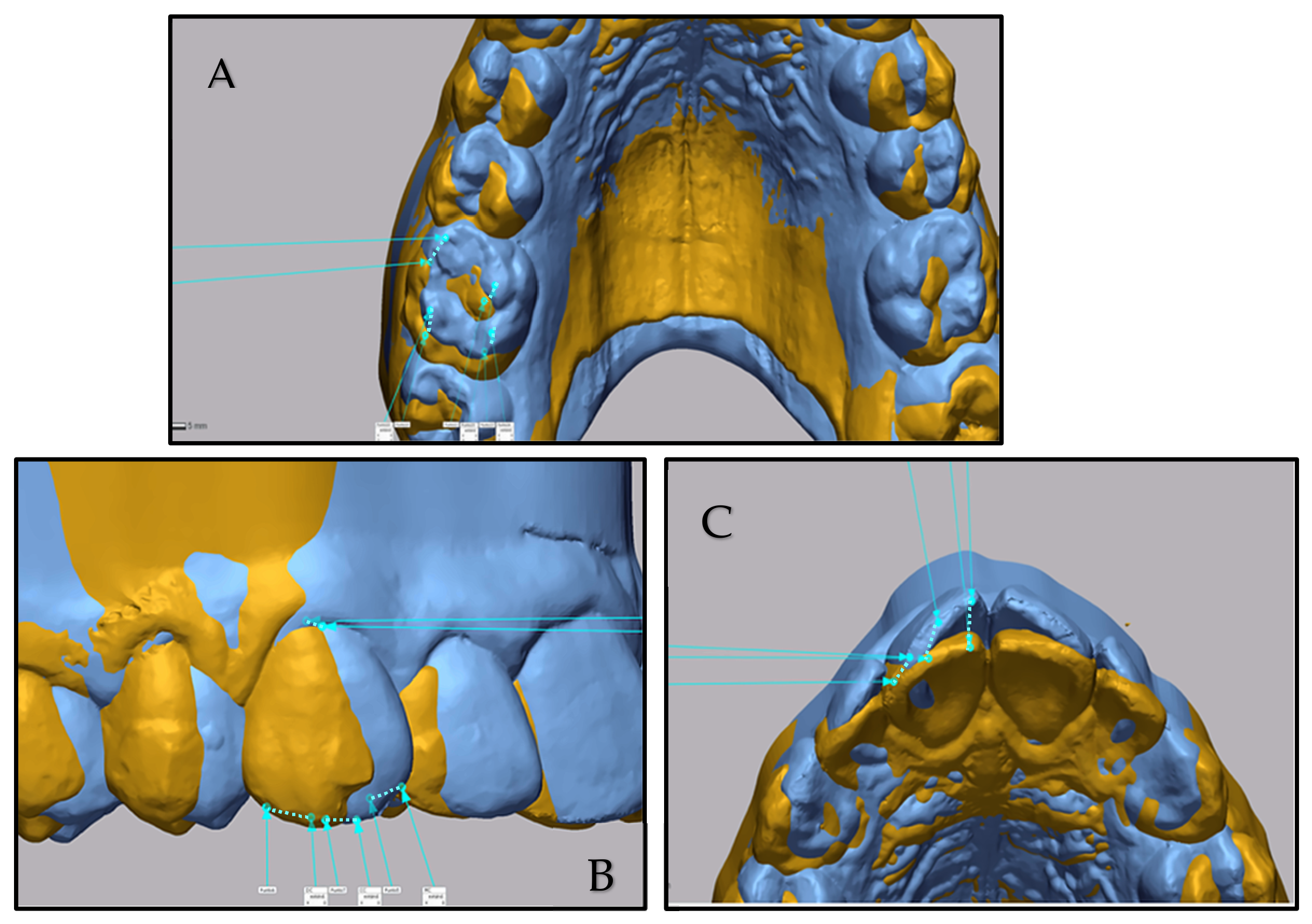 Dentistry 14 00601 g003