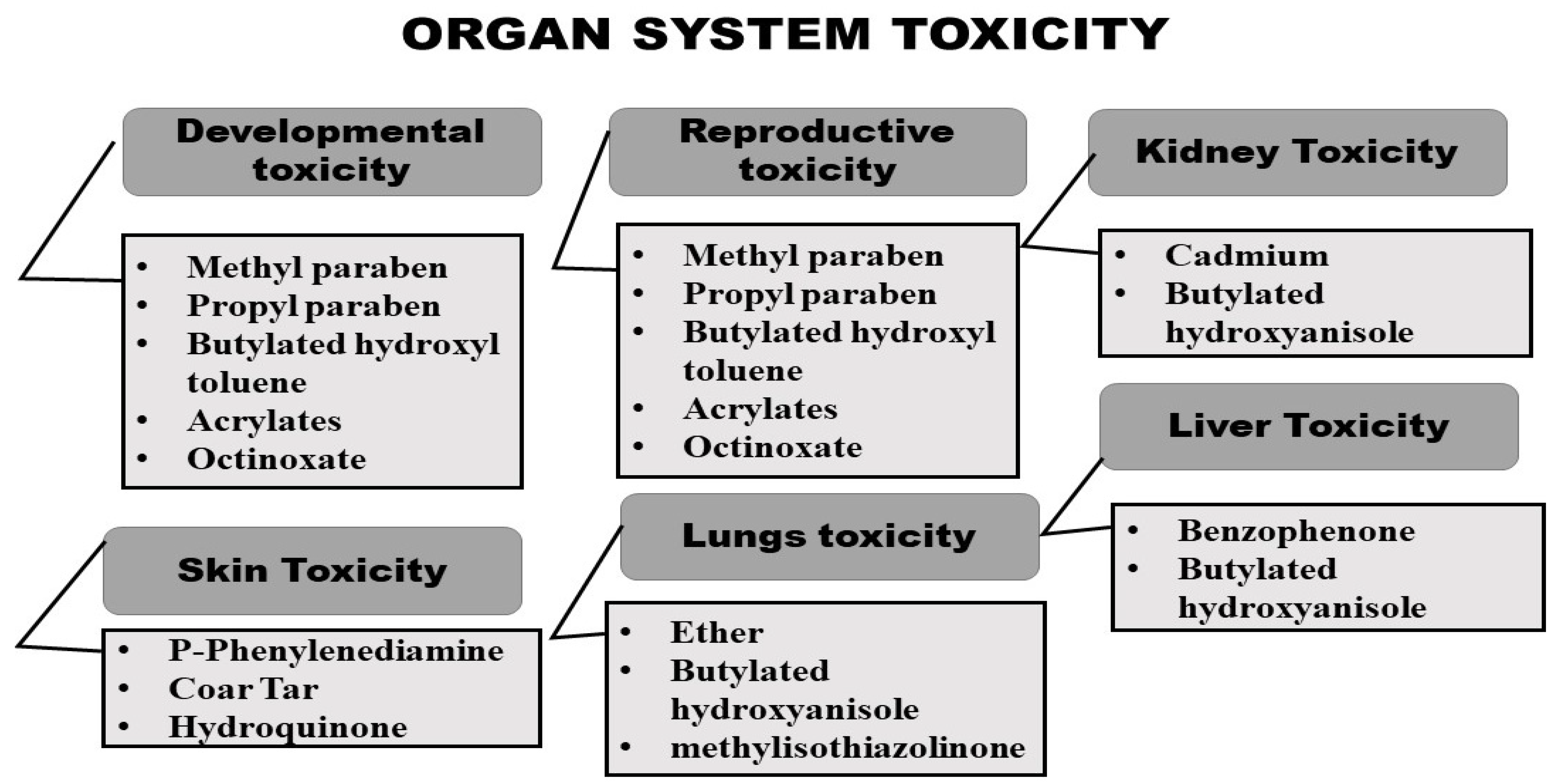 Dermato 03 00011 g004