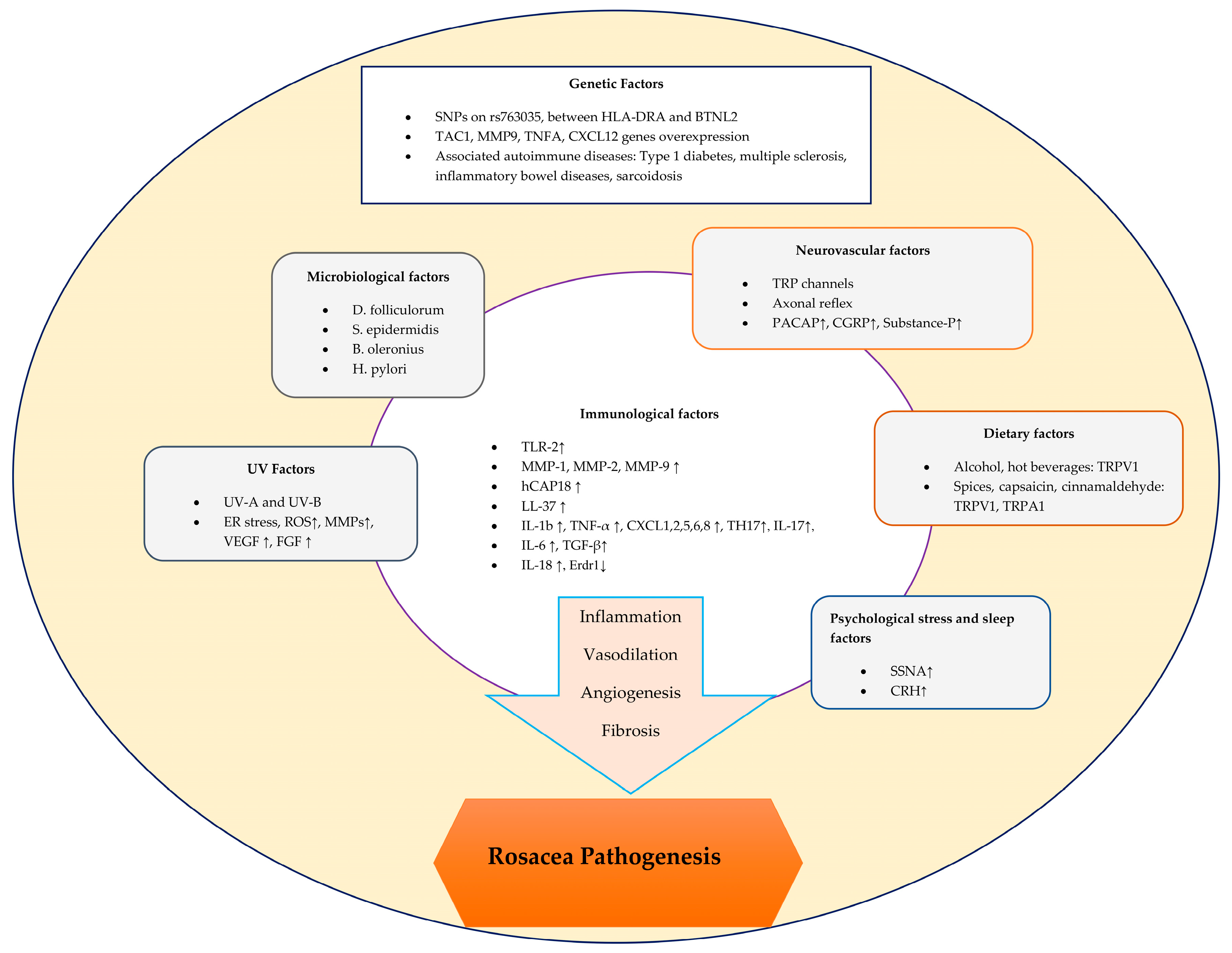 Dermato 03 00019 g001