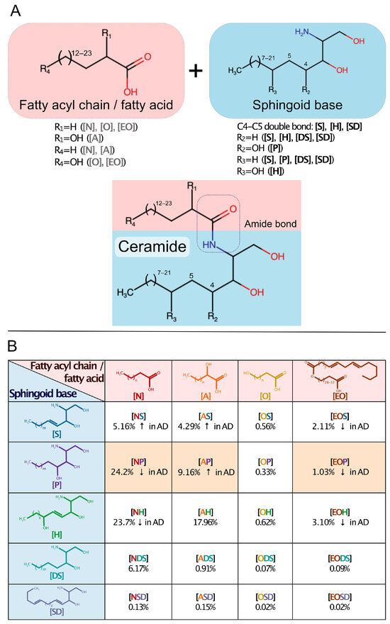 Dermato 04 00002 g002