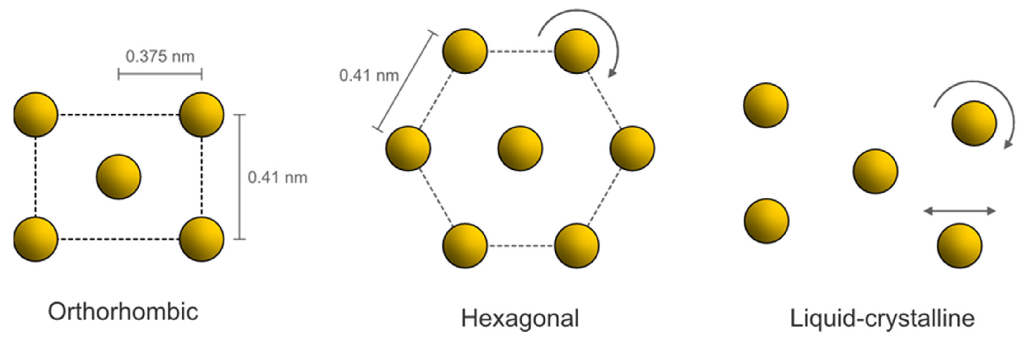 Dermato 04 00002 g003