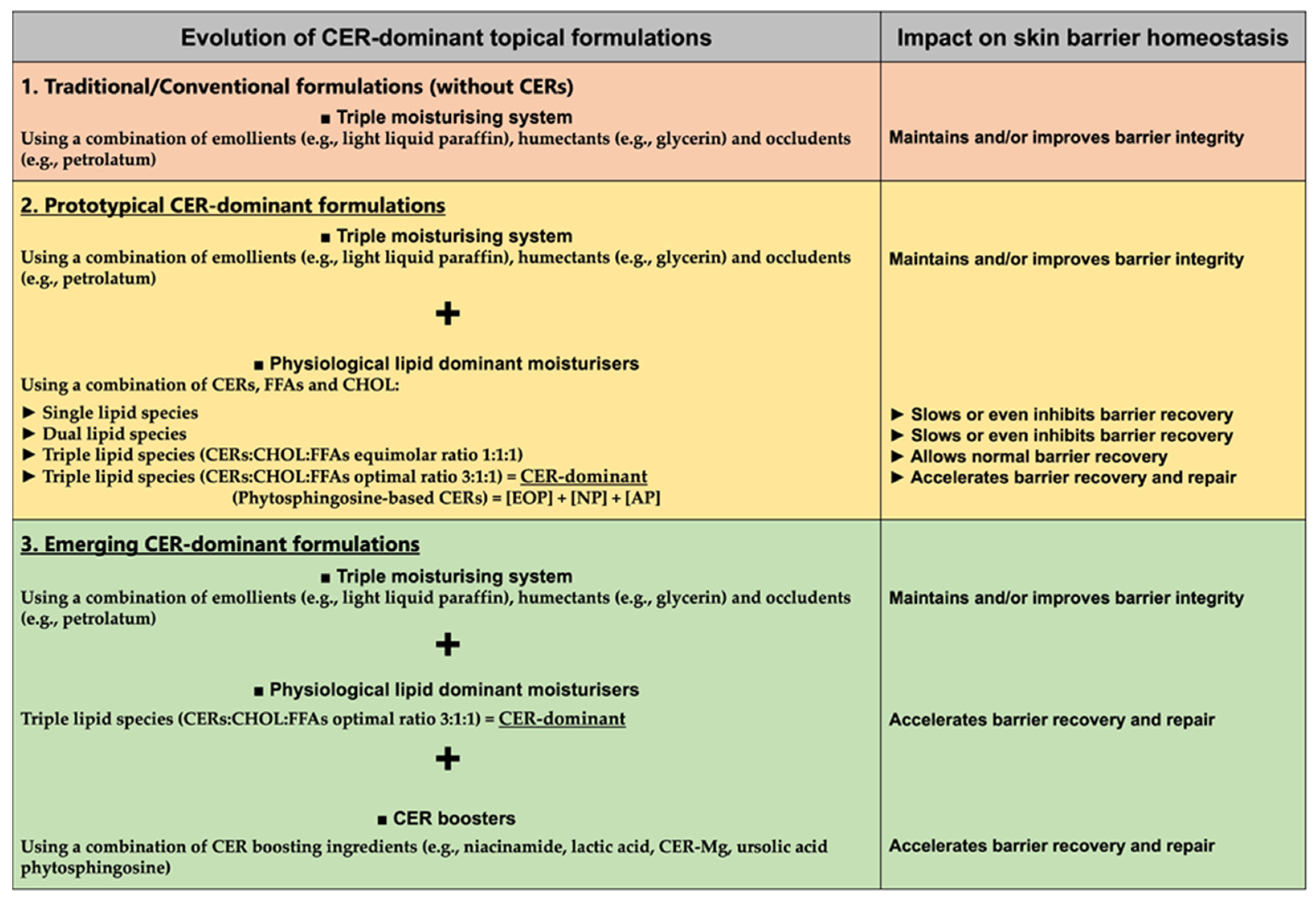 Dermato 04 00002 g005