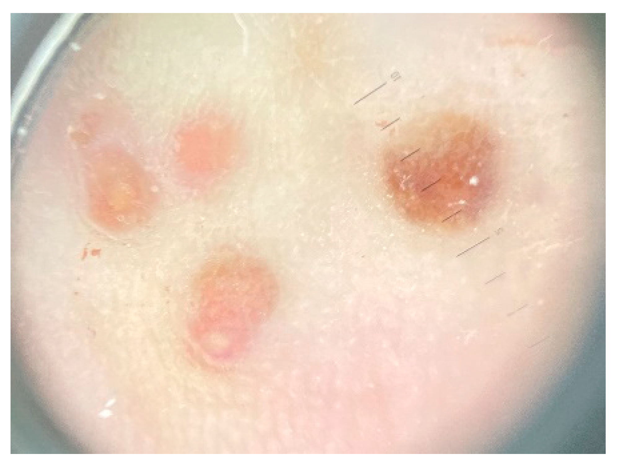 Dermato 04 00008 g002