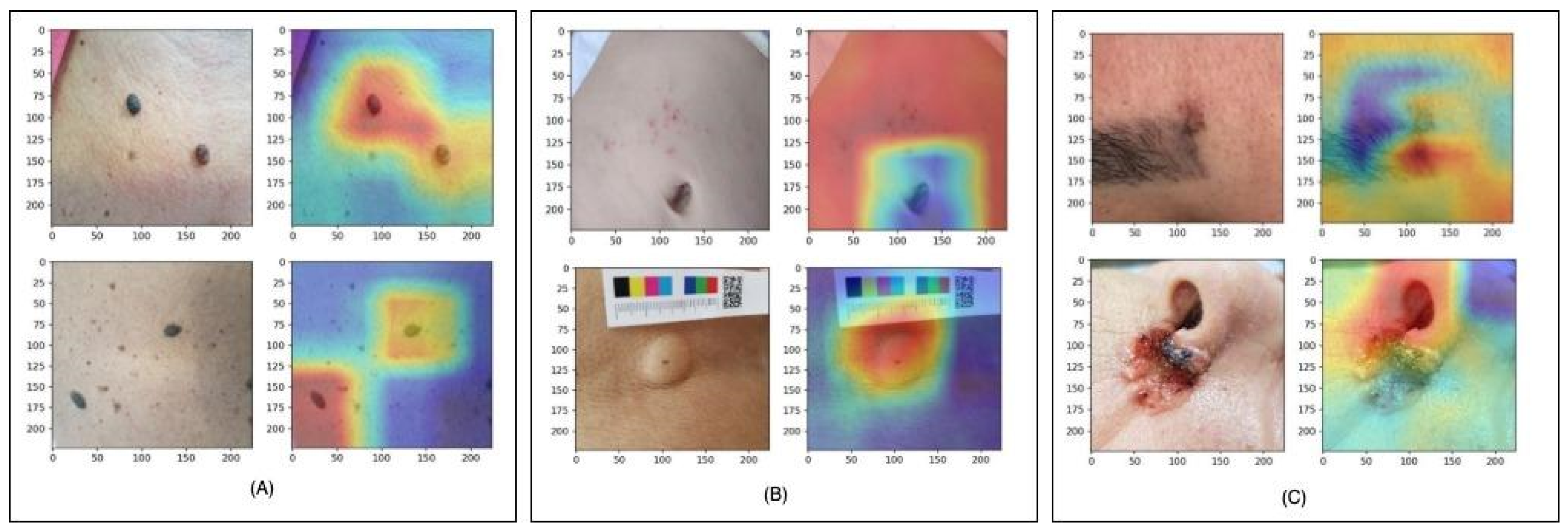 Dermato 04 00011 g009 Dermato 04 00011 g009