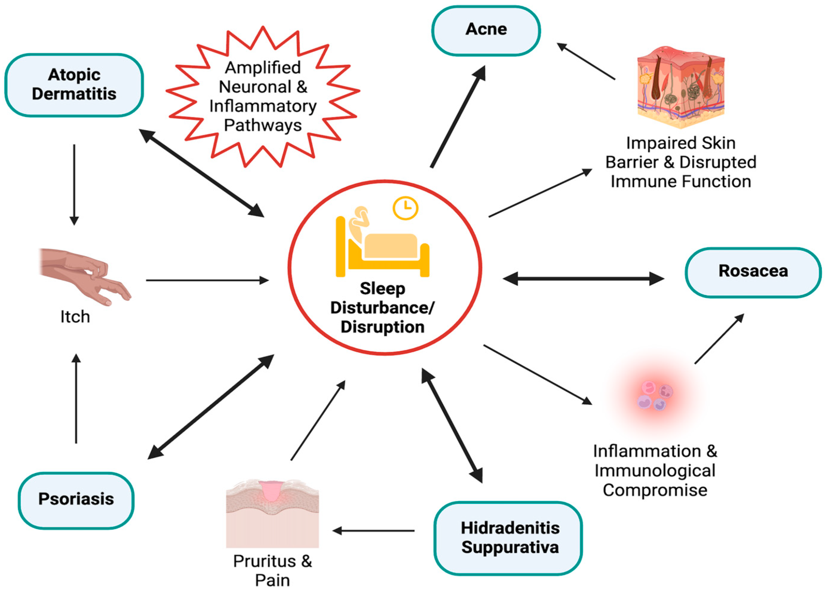 Dermato 05 00013 g001