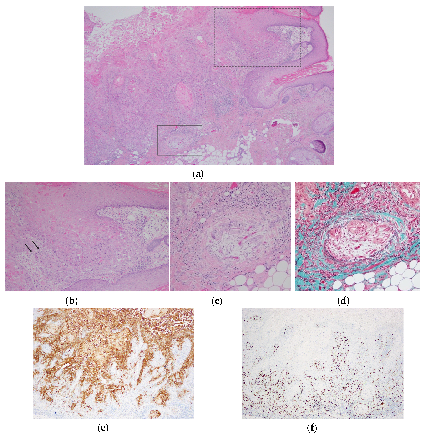 Dermatopathology 07 00008 g002