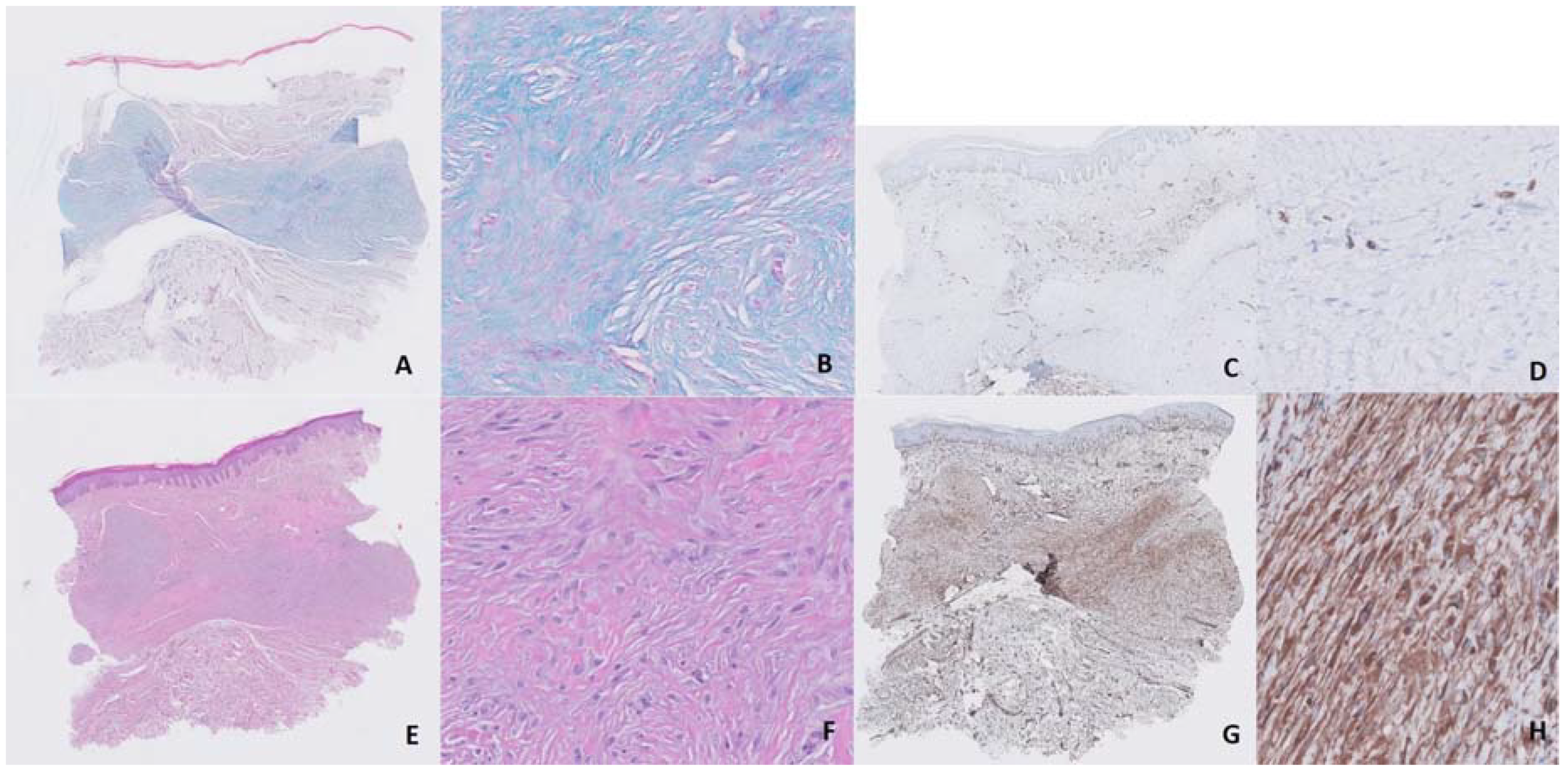 Dermatopathology 07 00009 g002