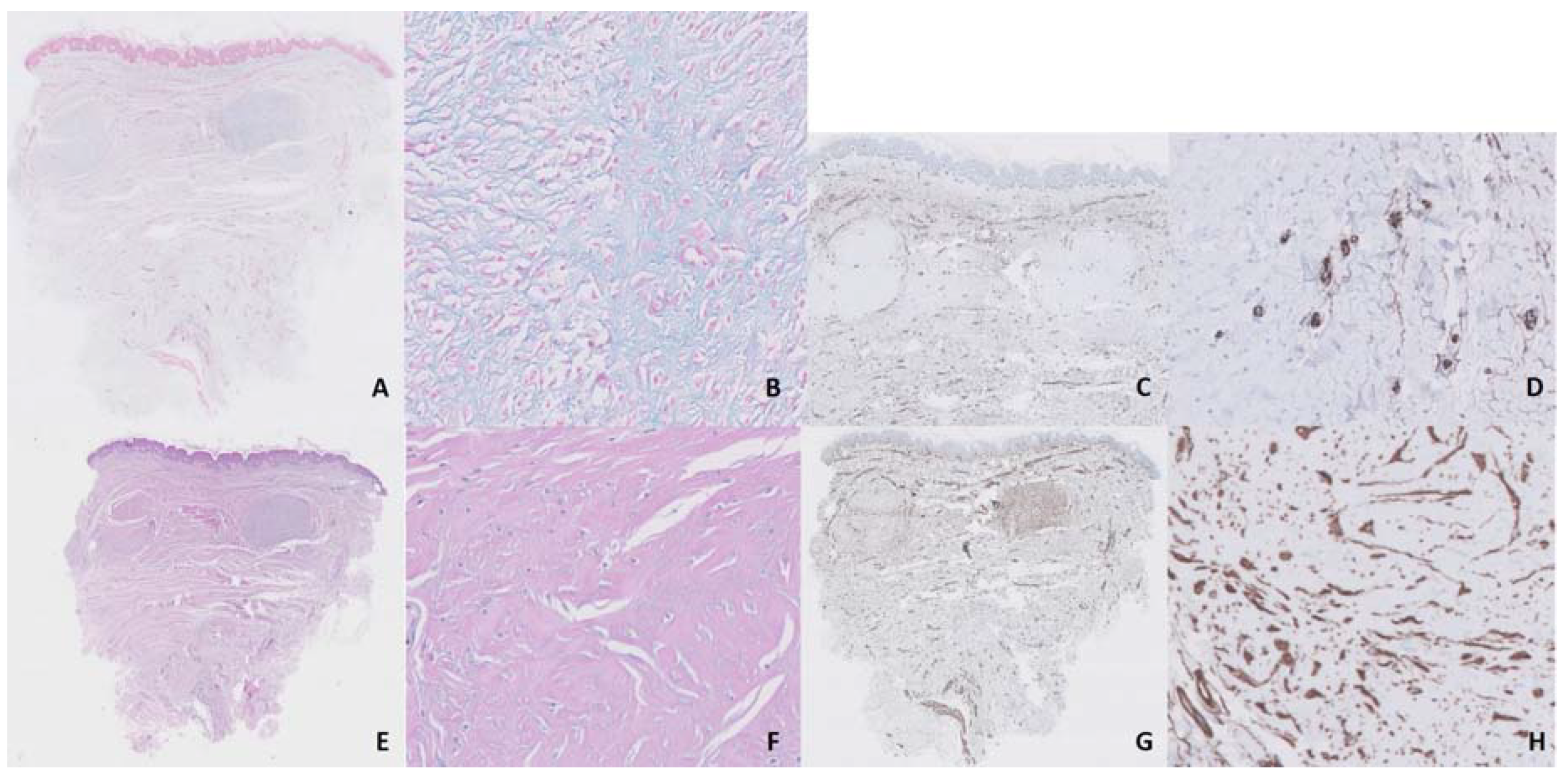 Dermatopathology 07 00009 g003