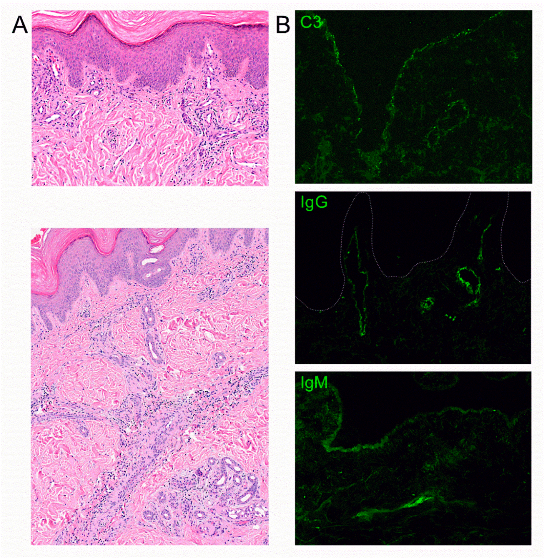 Dermatopathology 07 00010 g002