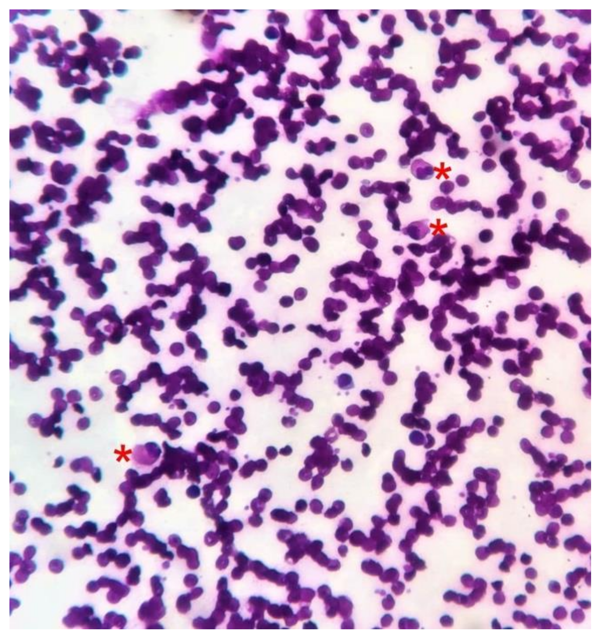 Dermatopathology 08 00002 g005