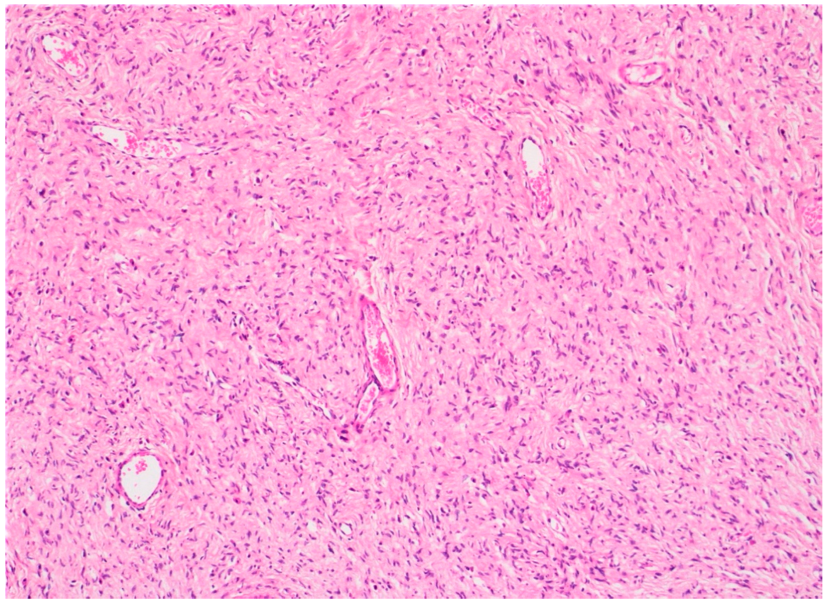 Dermatopathology 08 00003 g003