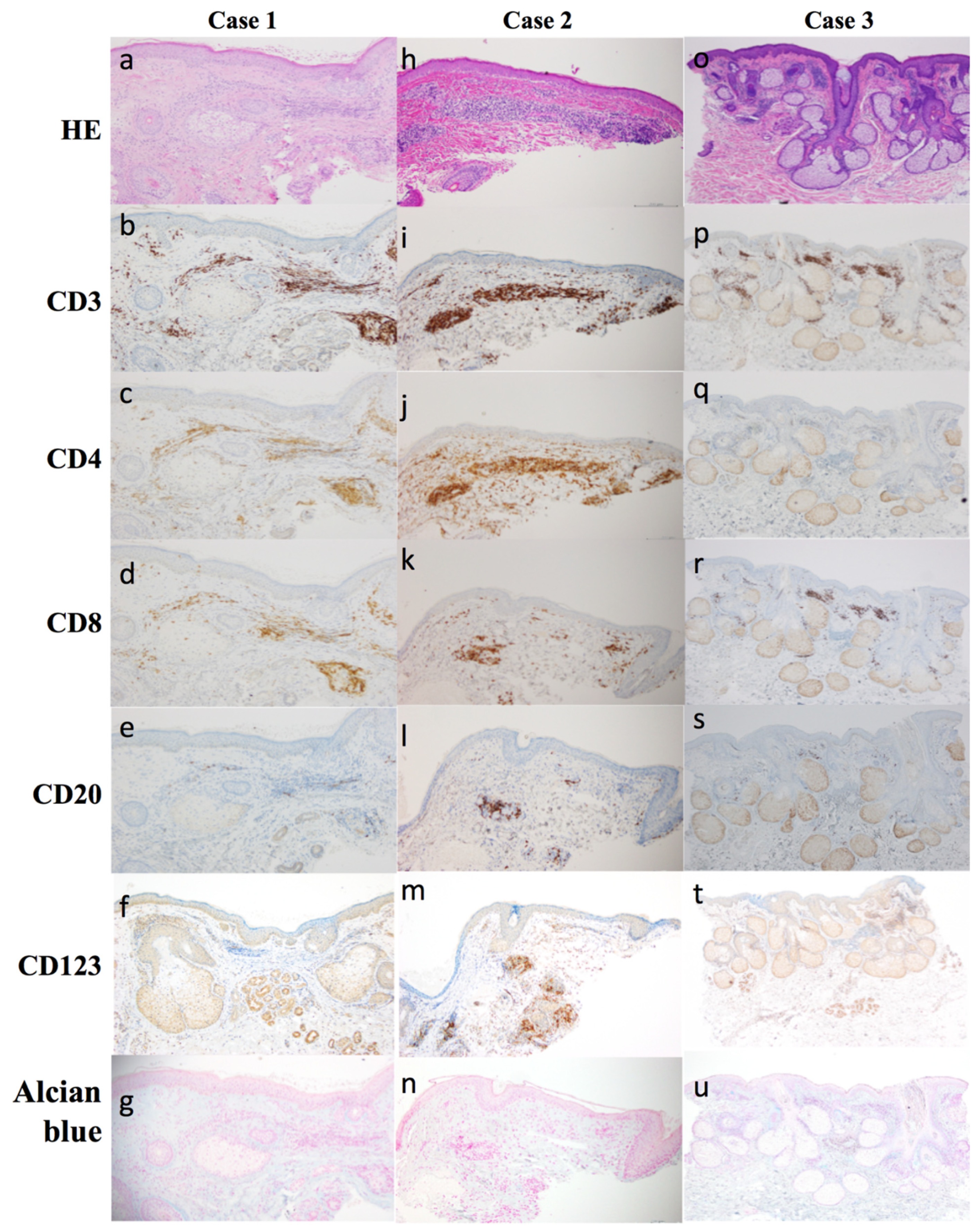 Dermatopathology 08 00018 g001 Dermatopathology 08 00018 g001