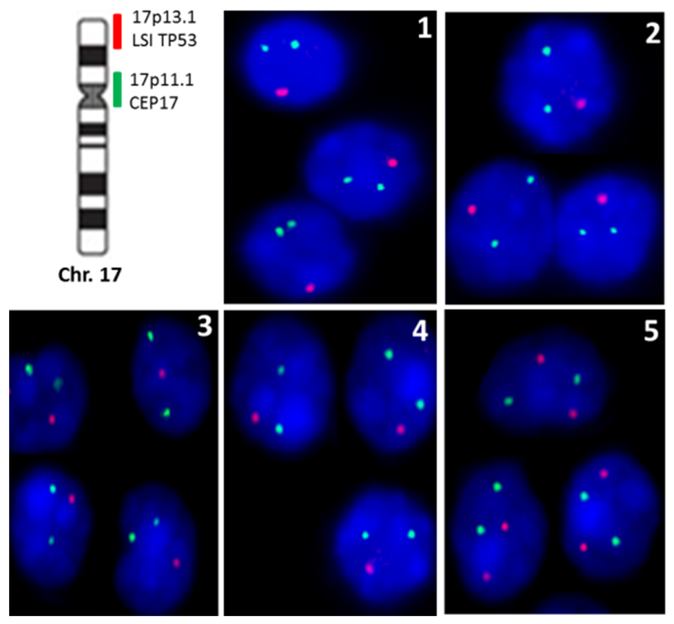 Dermatopathology 08 00021 g005