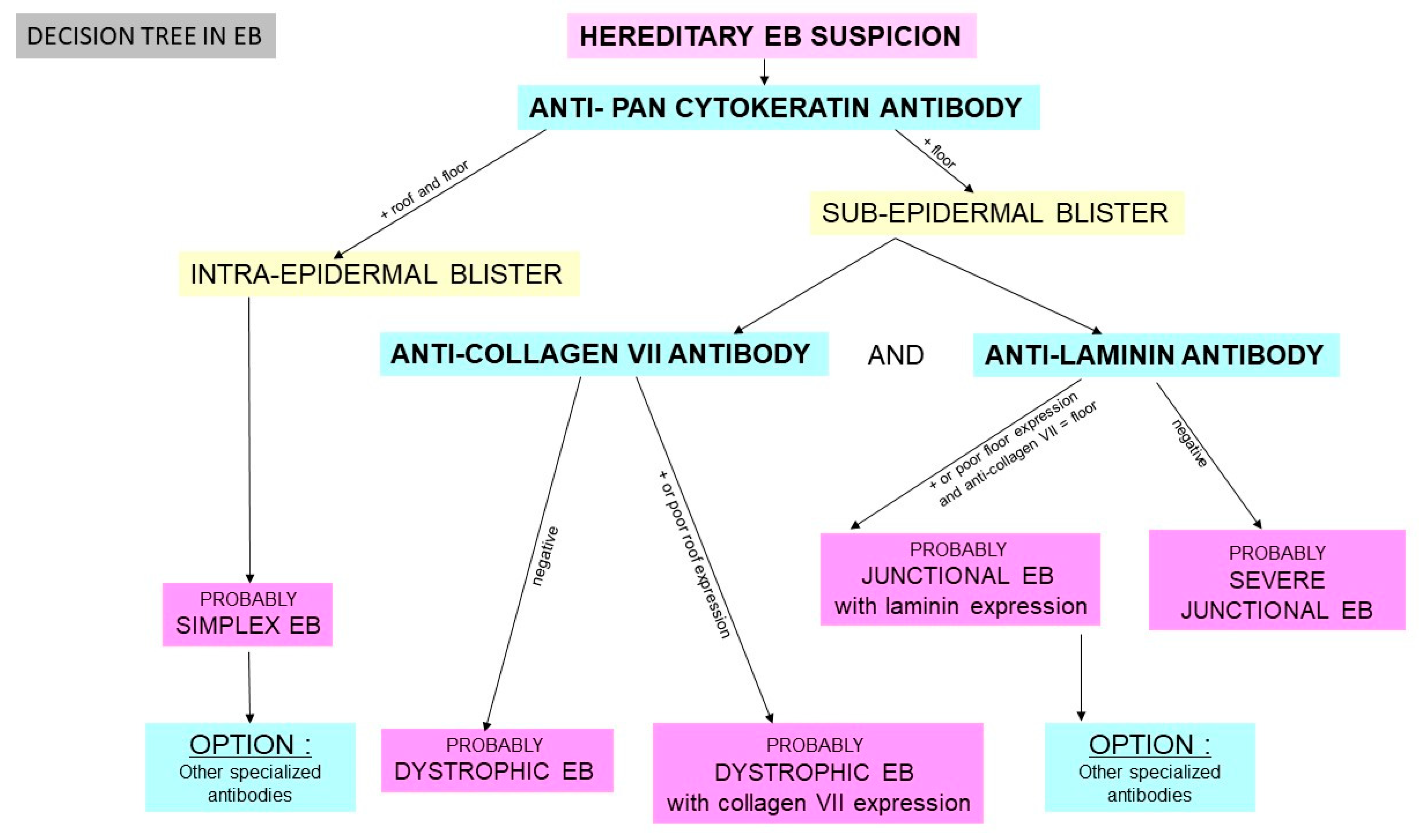 Dermatopathology 08 00022 g006