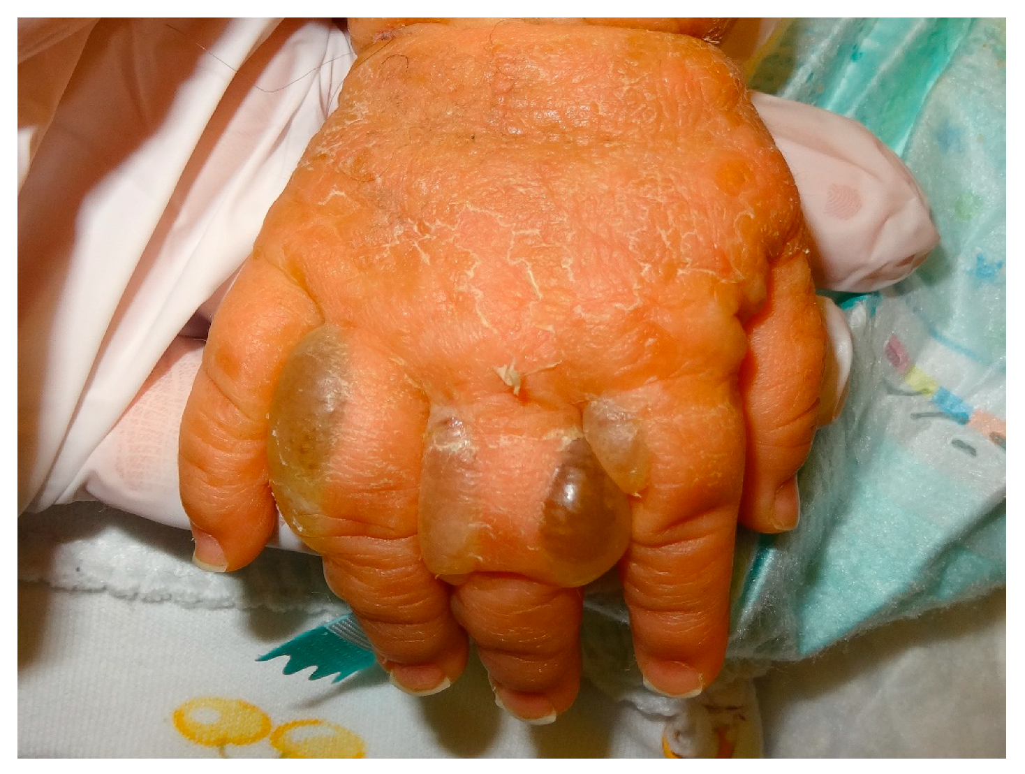 Dermatopathology 08 00022 g011