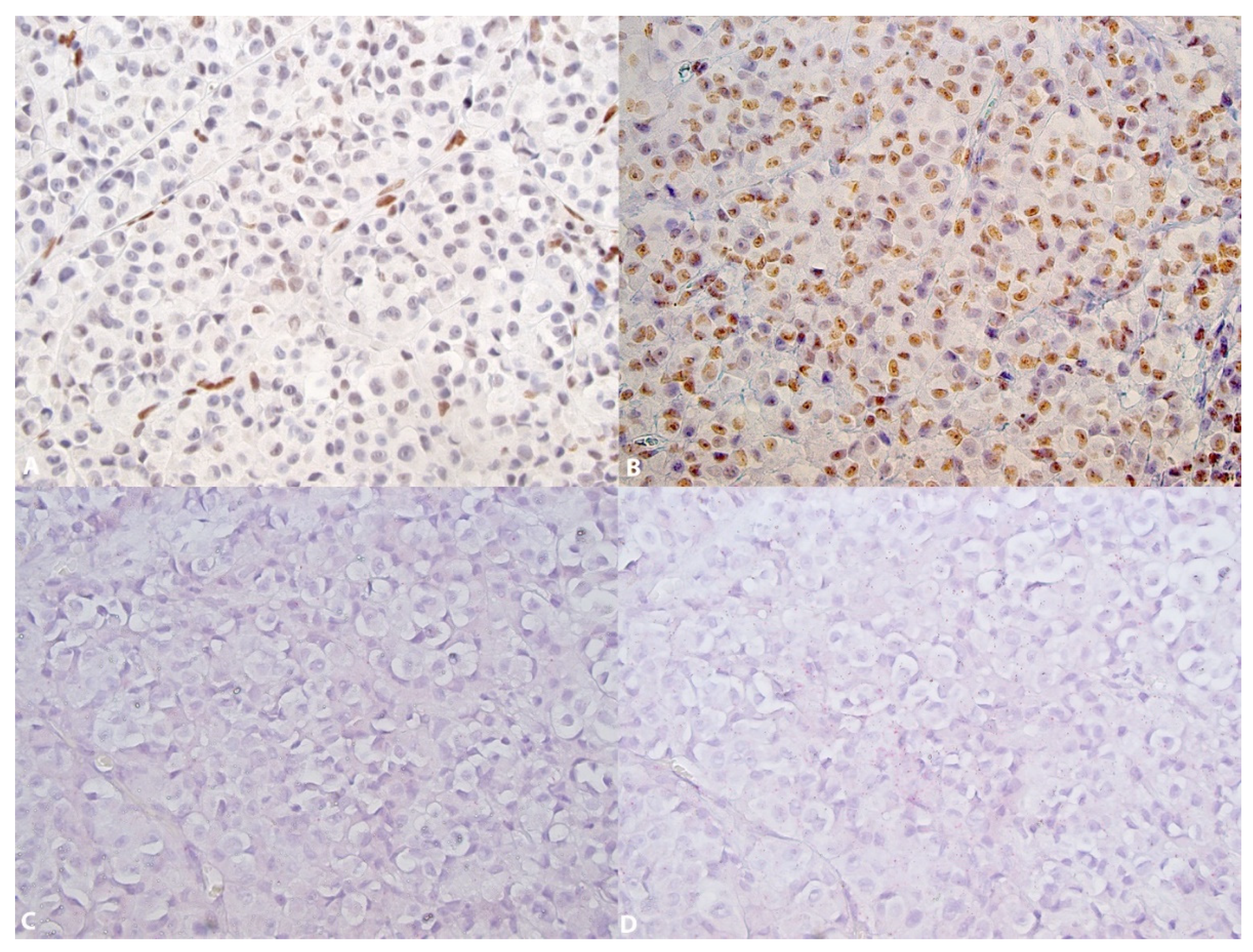 Dermatopathology 08 00023 g003