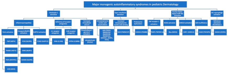 Dermatopathology 08 00026 g001