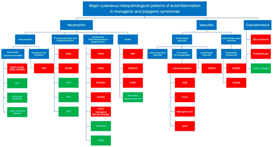 Dermatopathology 08 00026 g002