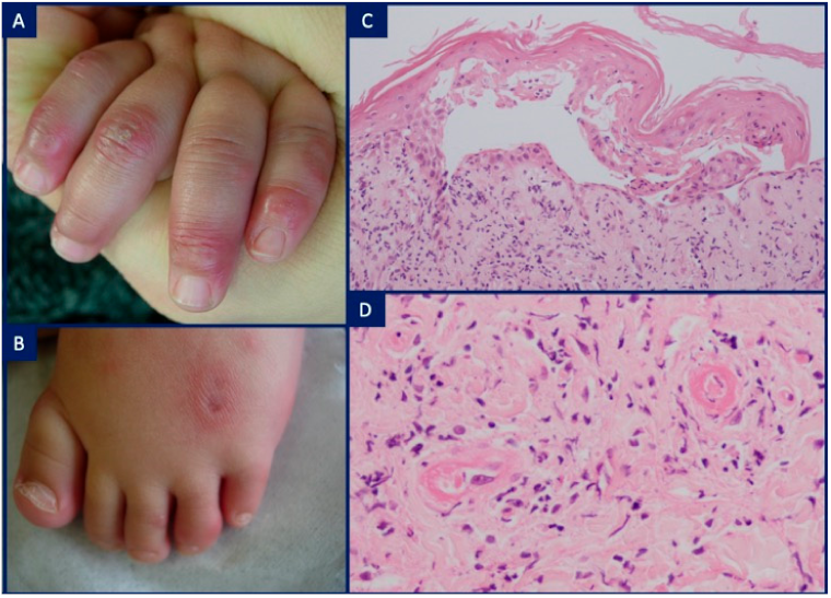 Dermatopathology 08 00026 g006