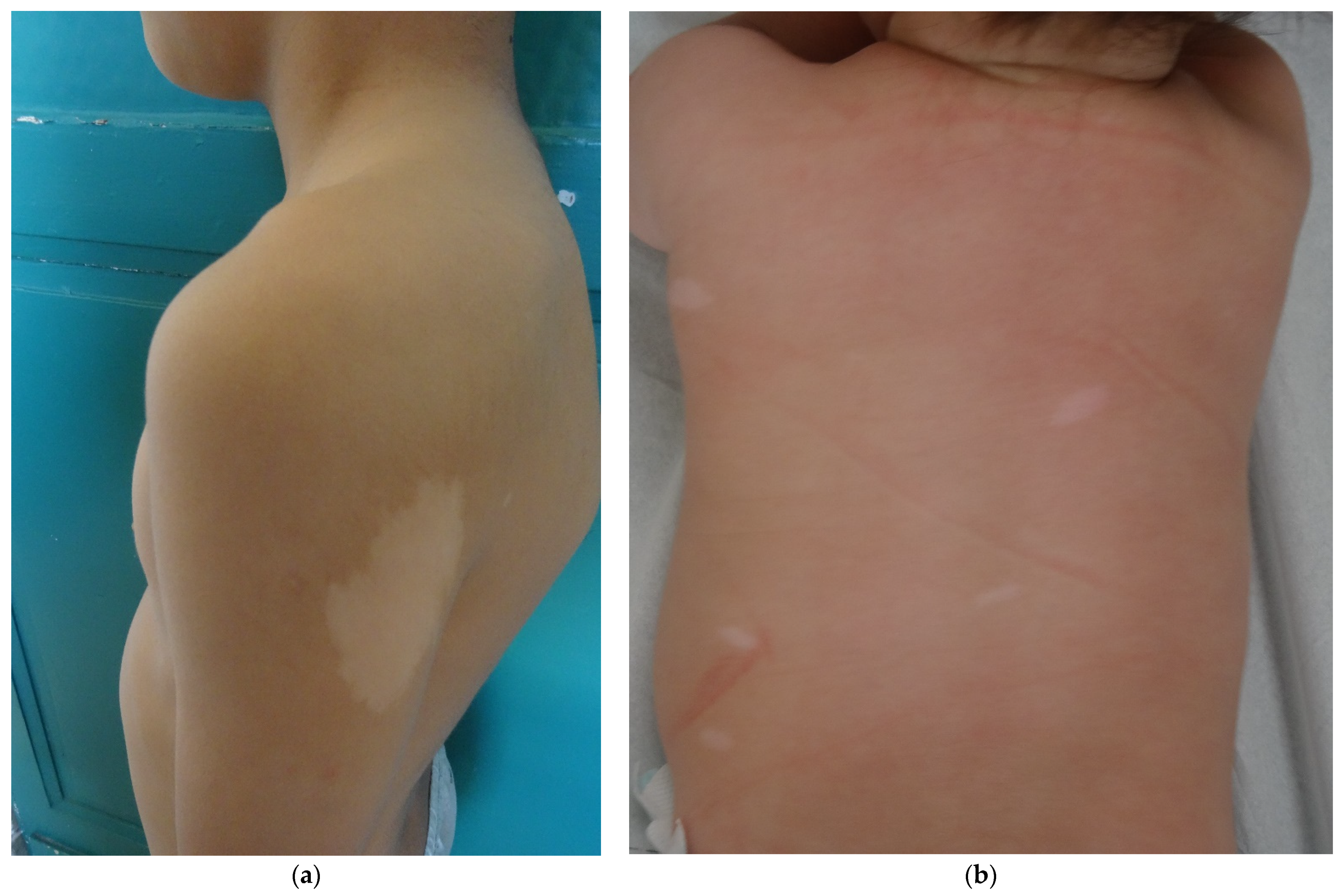 Dermatopathology 08 00029 g001