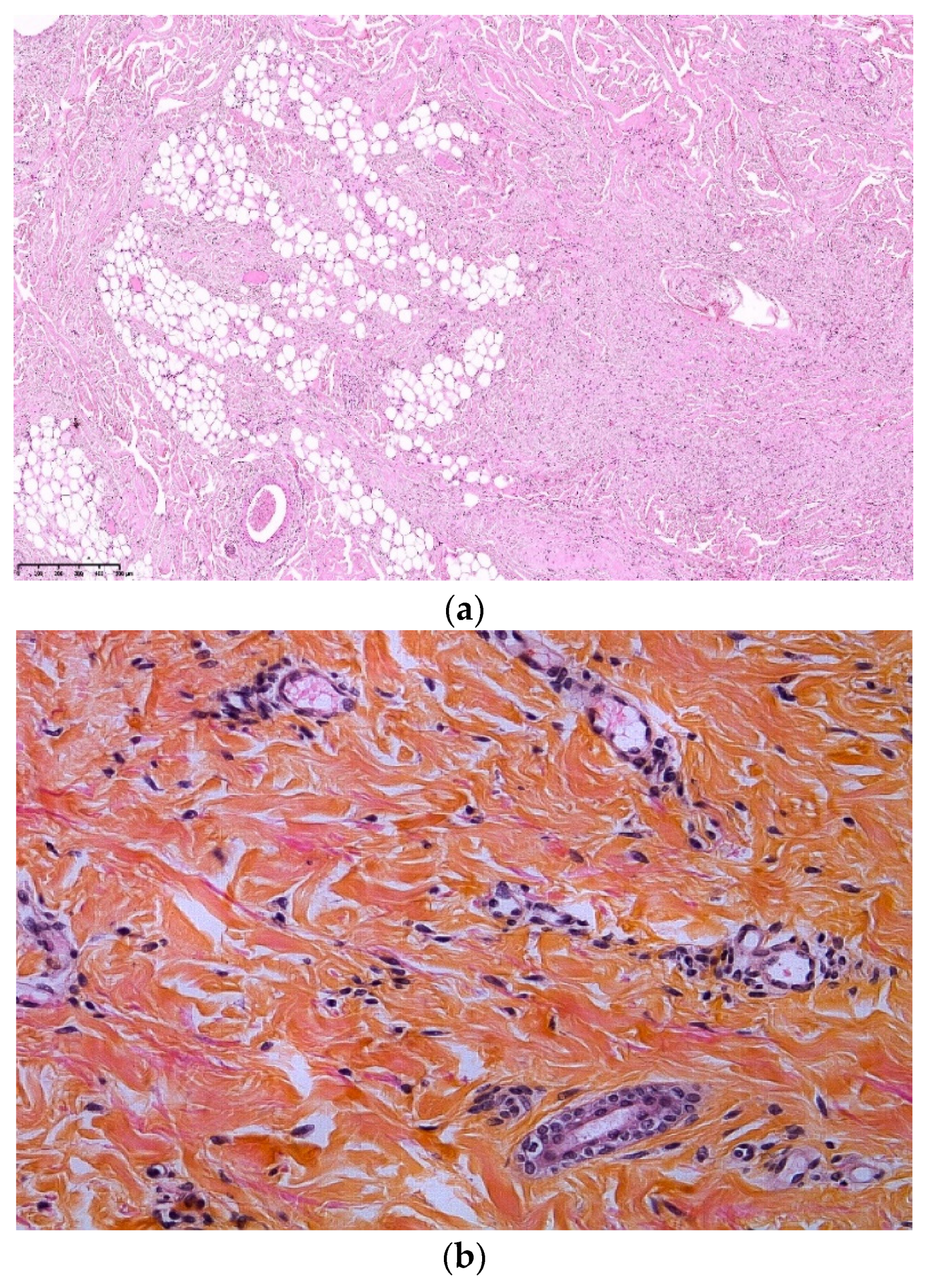 Dermatopathology 08 00029 g007a