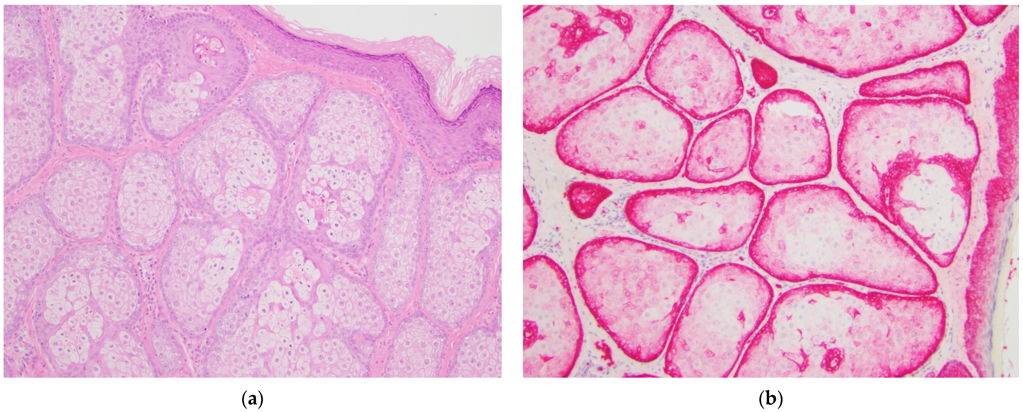Dermatopathology 08 00031 g004