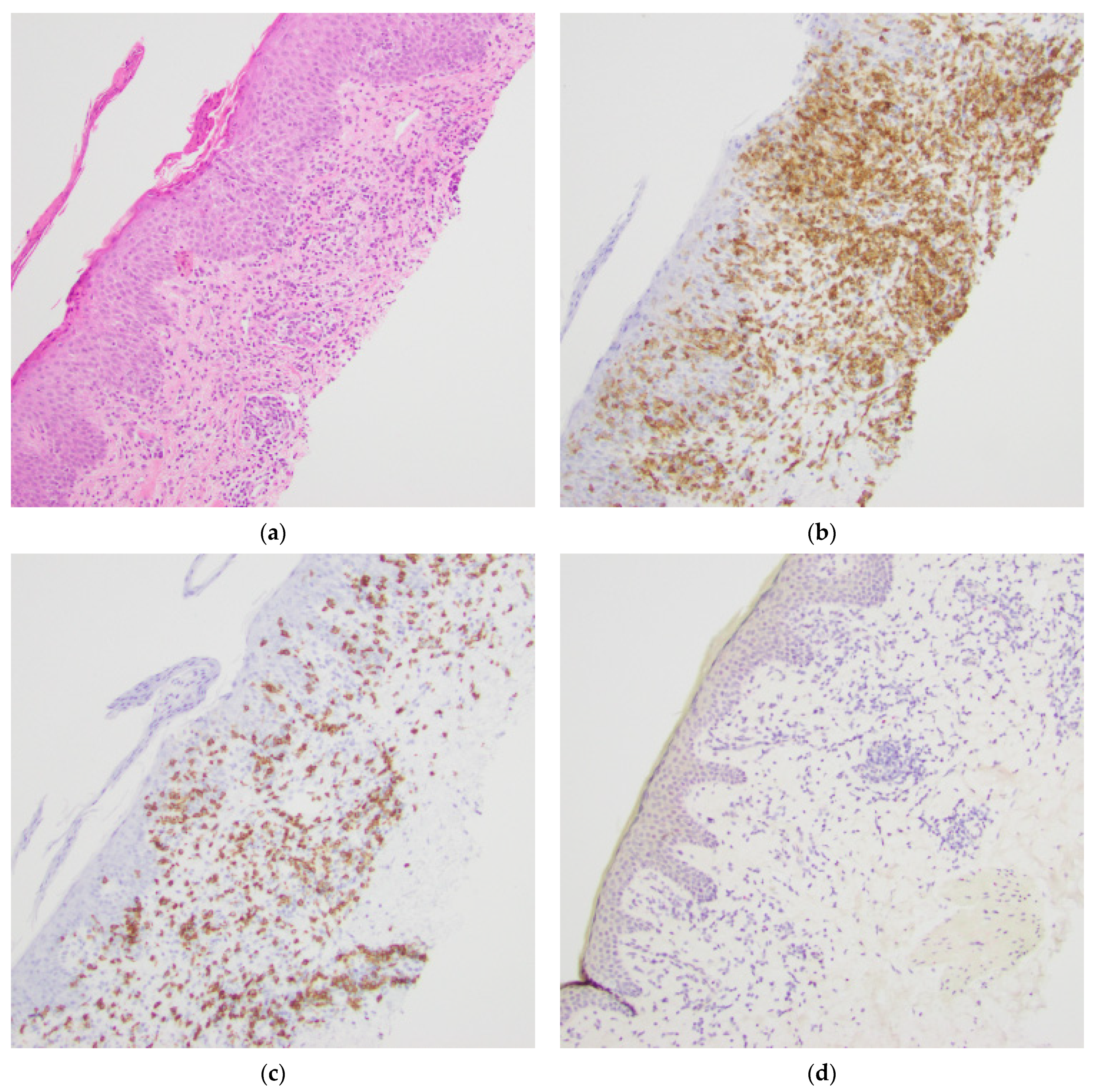 Dermatopathology 08 00034 g005