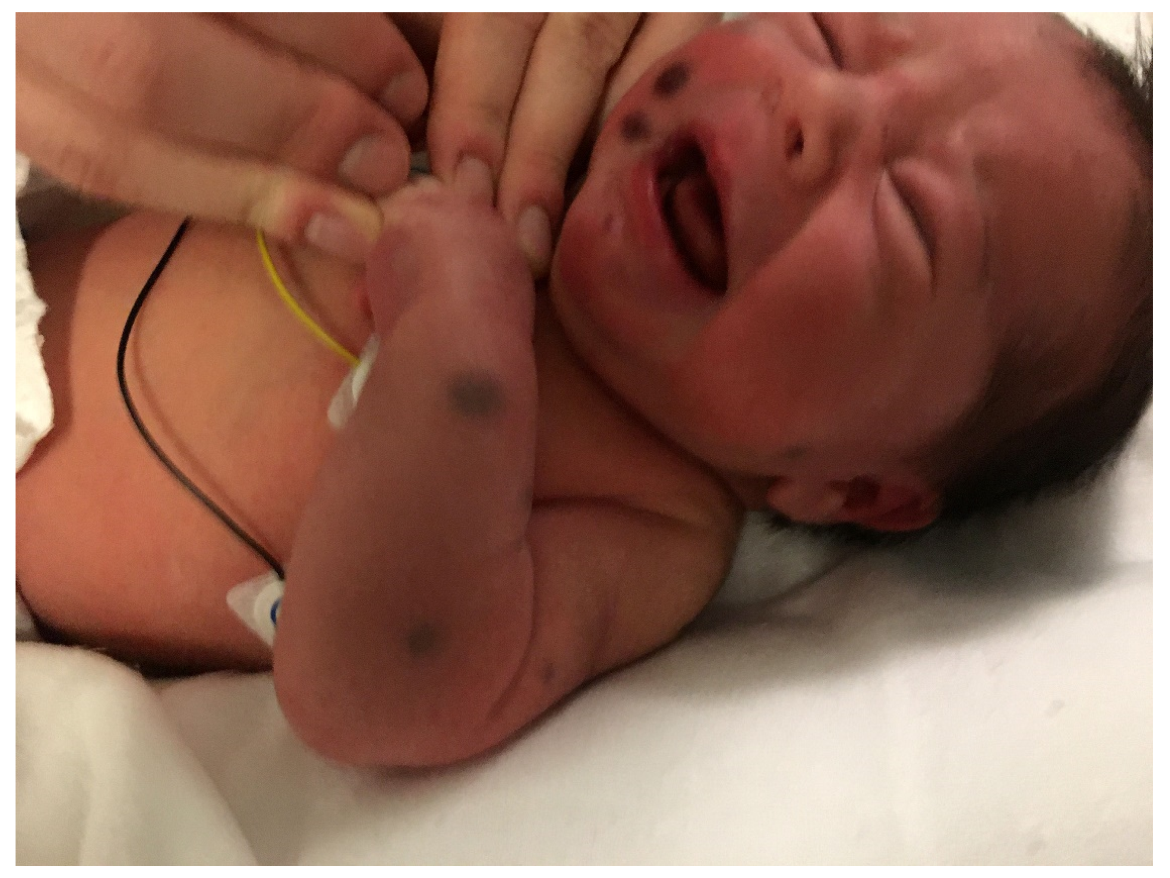 Dermatopathology 08 00043 g001