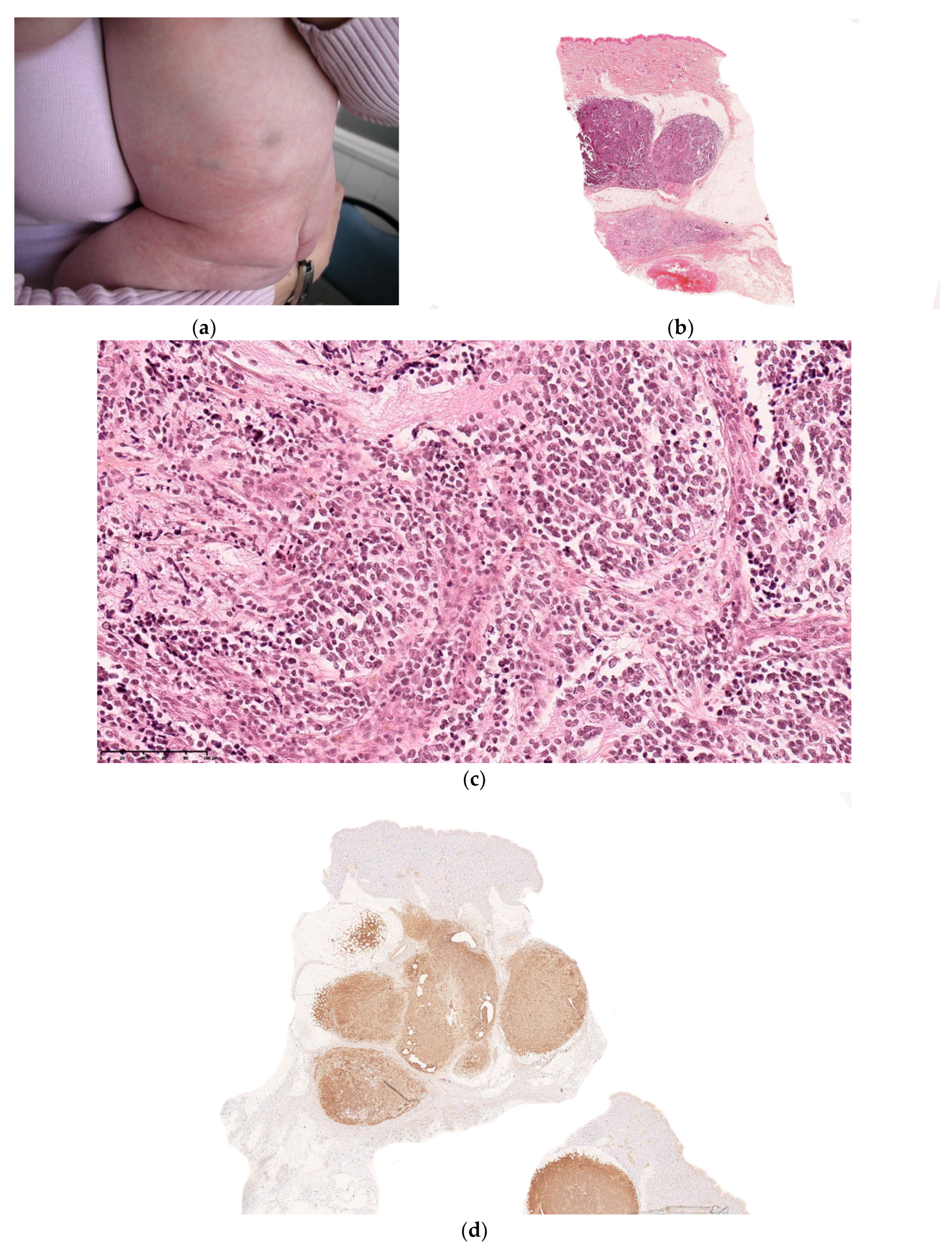 Dermatopathology 08 00043 g005
