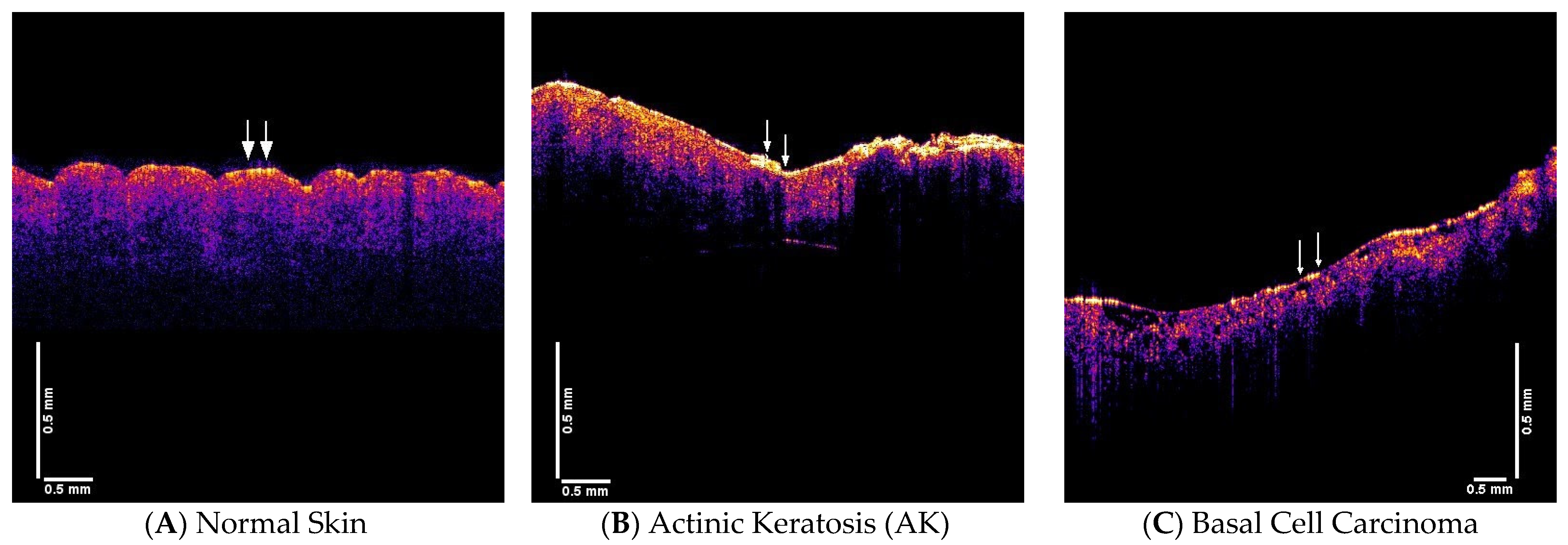 Dermatopathology 08 00058 g002a
