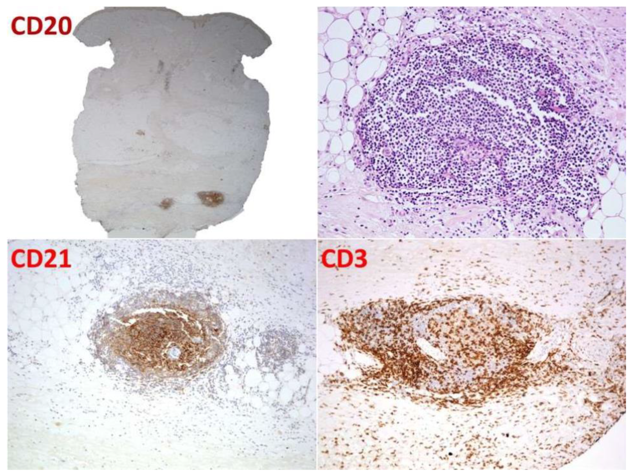 Dermatopathology 09 00003 g002