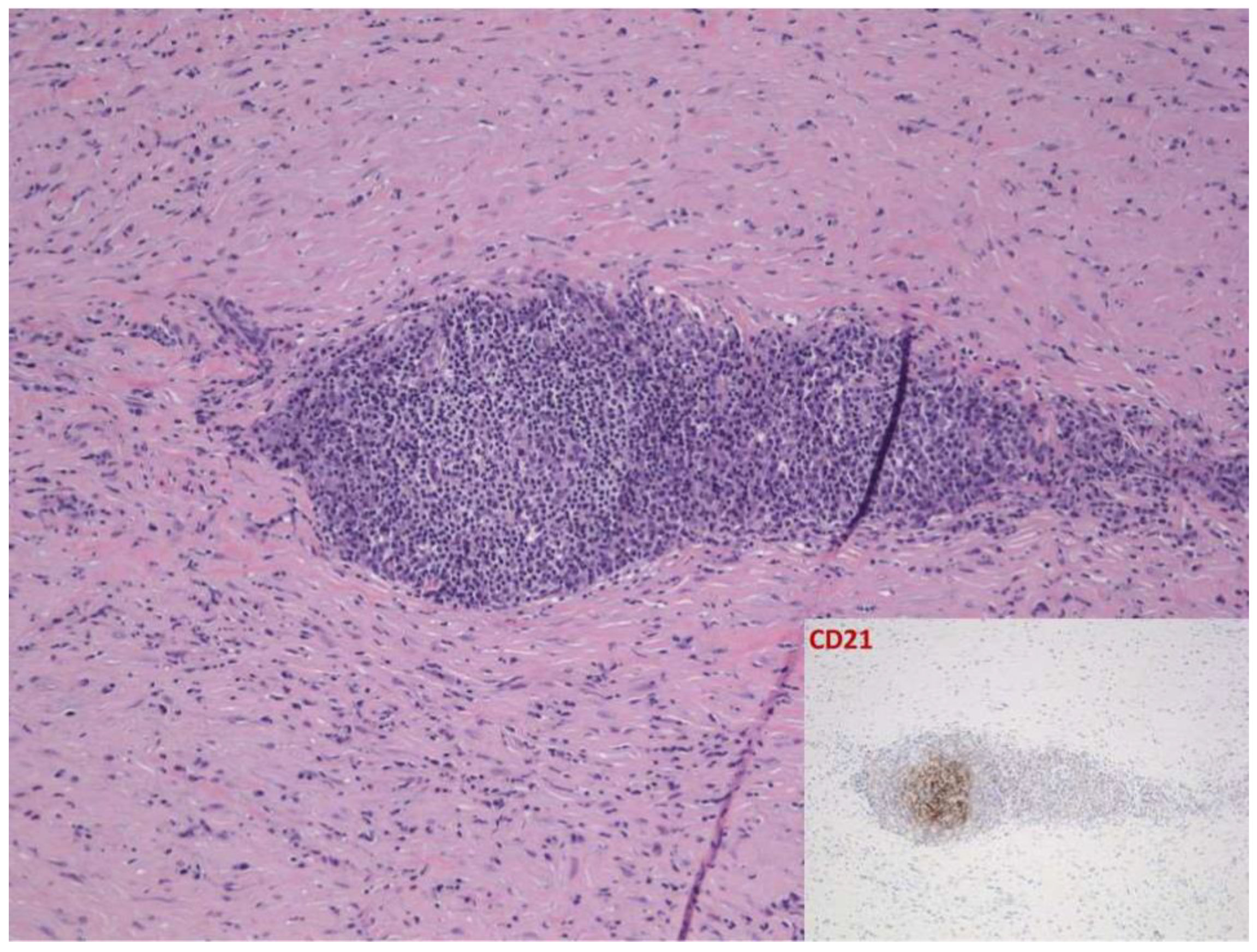Dermatopathology 09 00003 g004