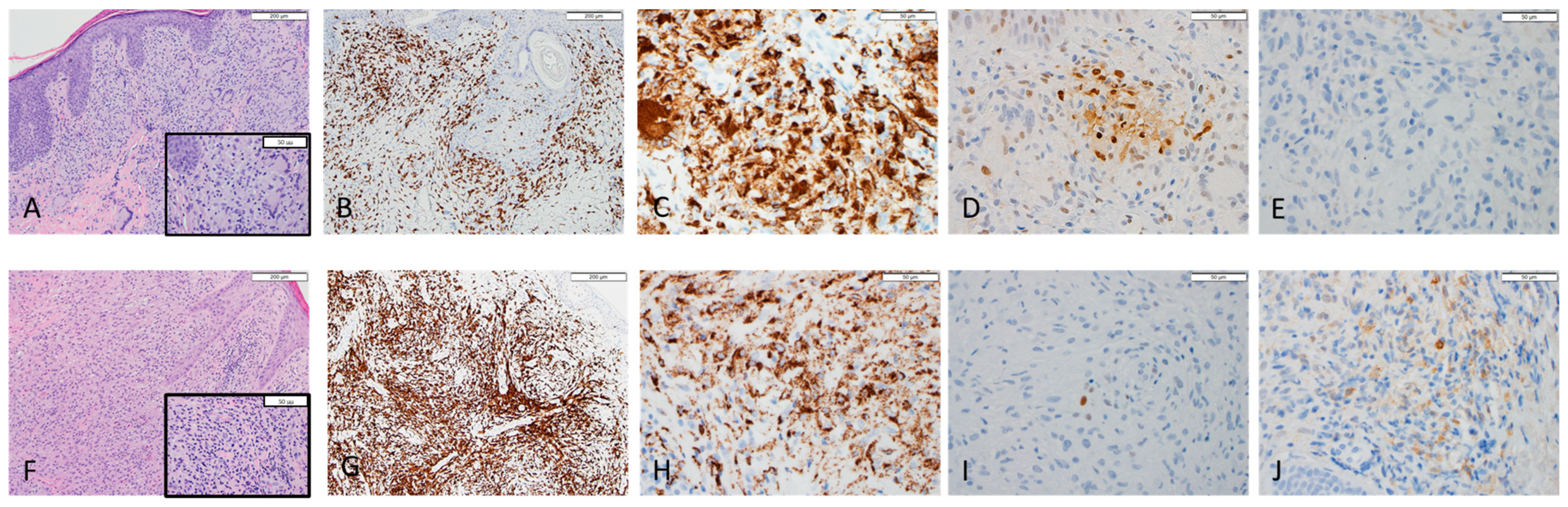 Dermatopathology 09 00009 g001