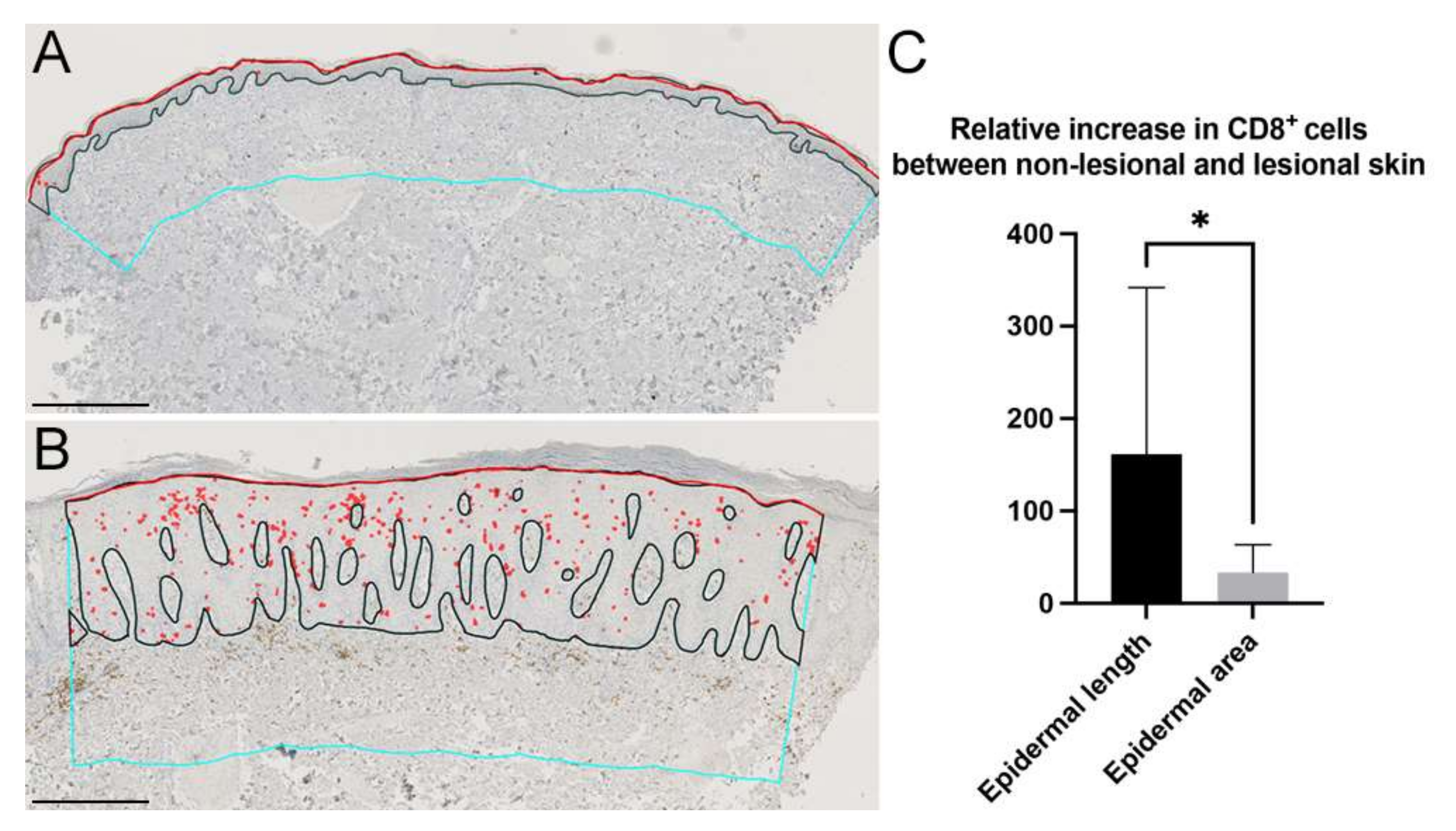 Dermatopathology 09 00011 g006