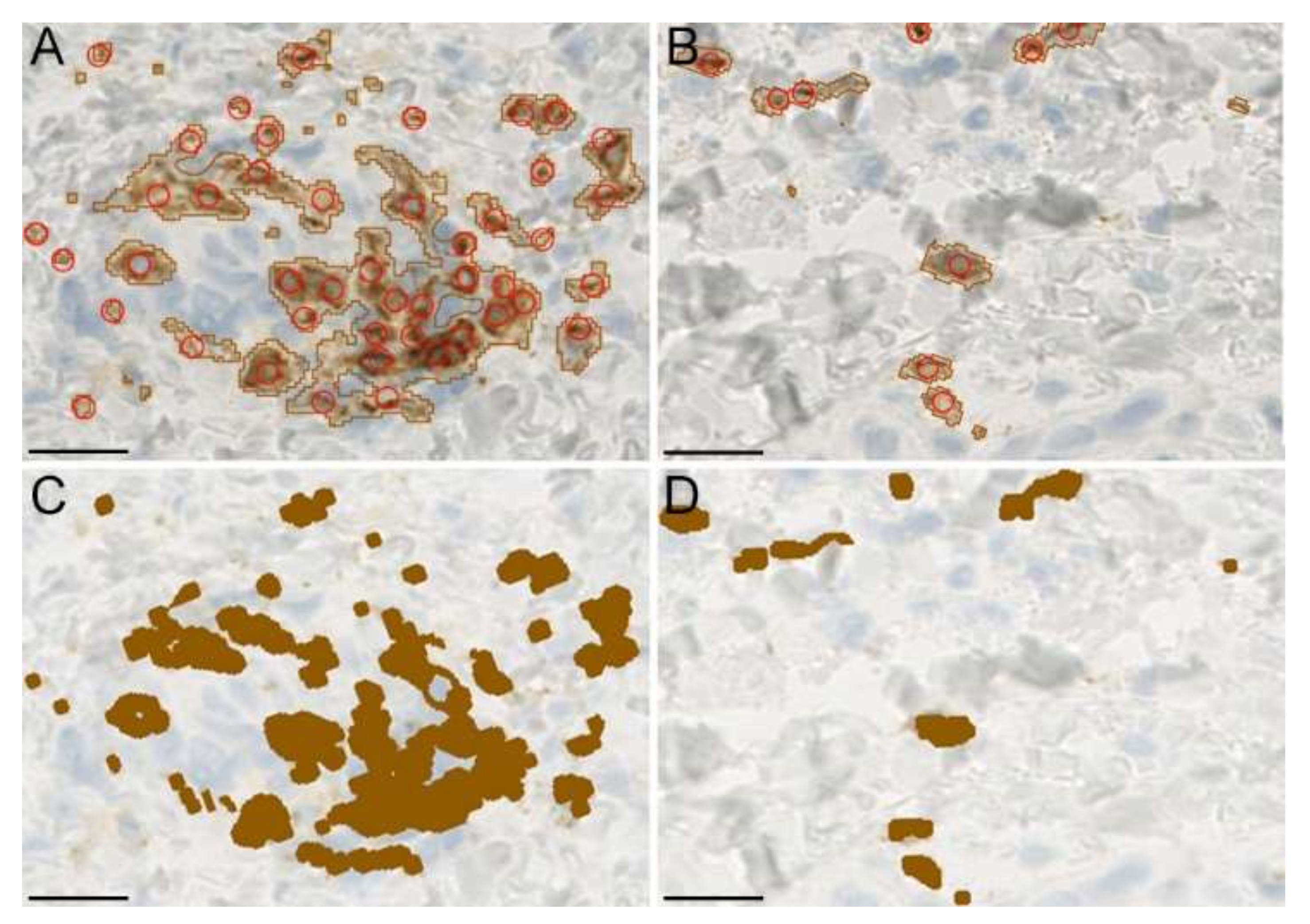 Dermatopathology 09 00011 g007