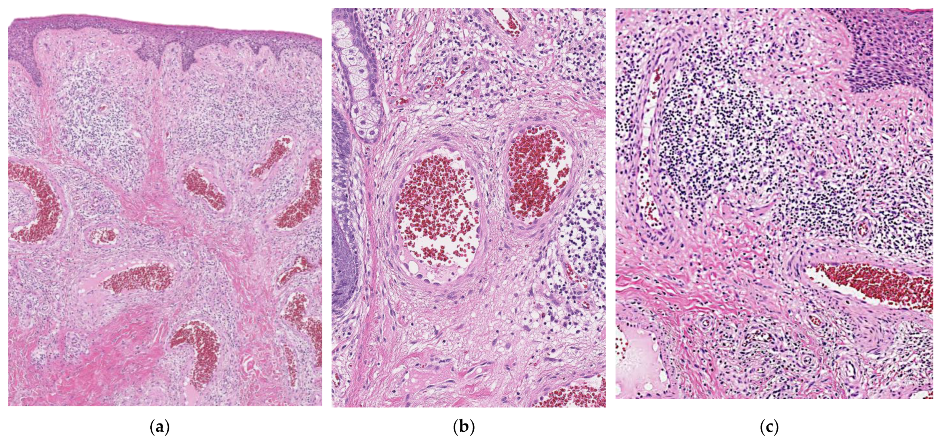 Dermatopathology 09 00012 g005