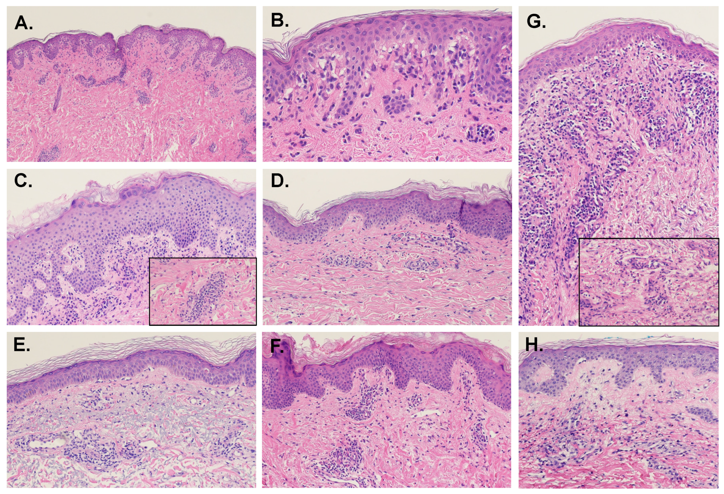 Dermatopathology 09 00014 g001